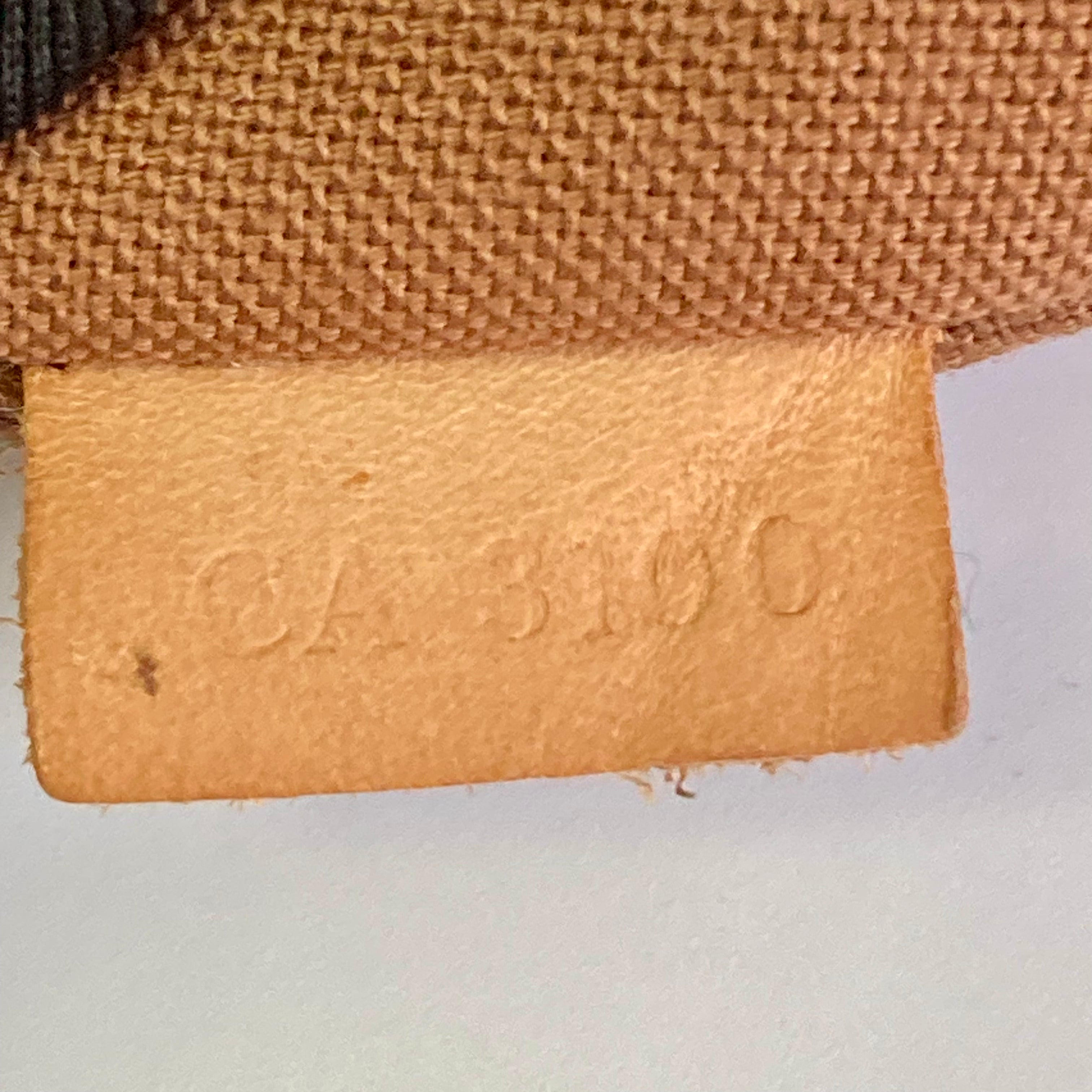 Louis Vuitton Monogram Canvas Sac Plat Tote Bag lv550