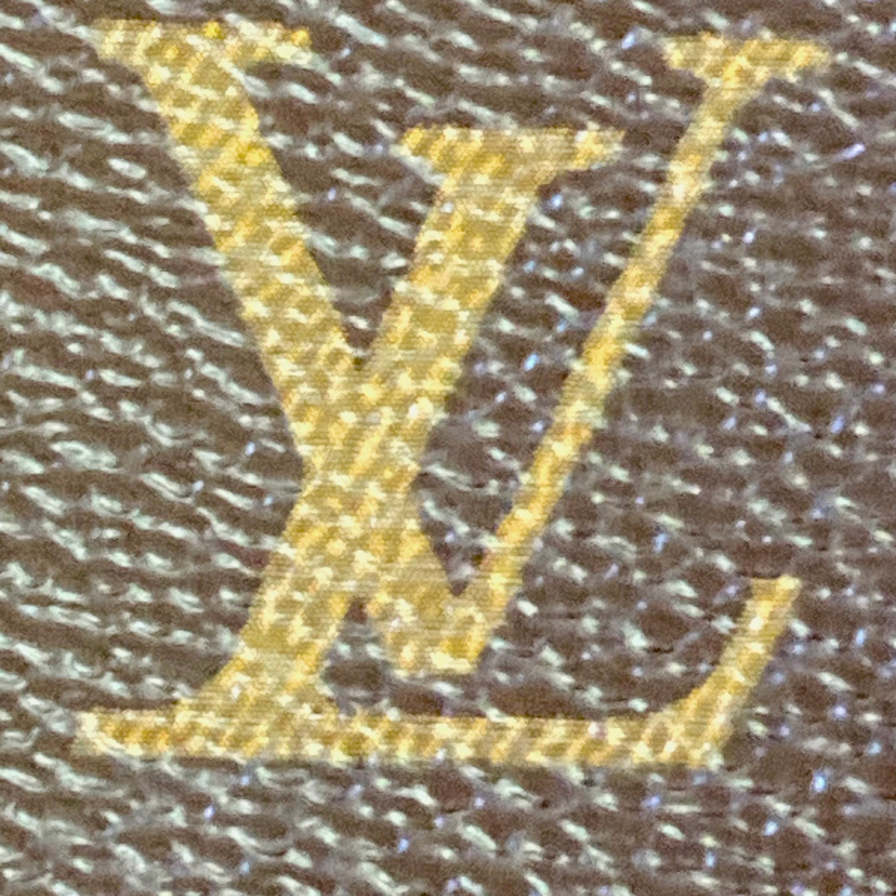 Louis Vuitton Monogram Canvas Sac Plat Tote Bag lv550