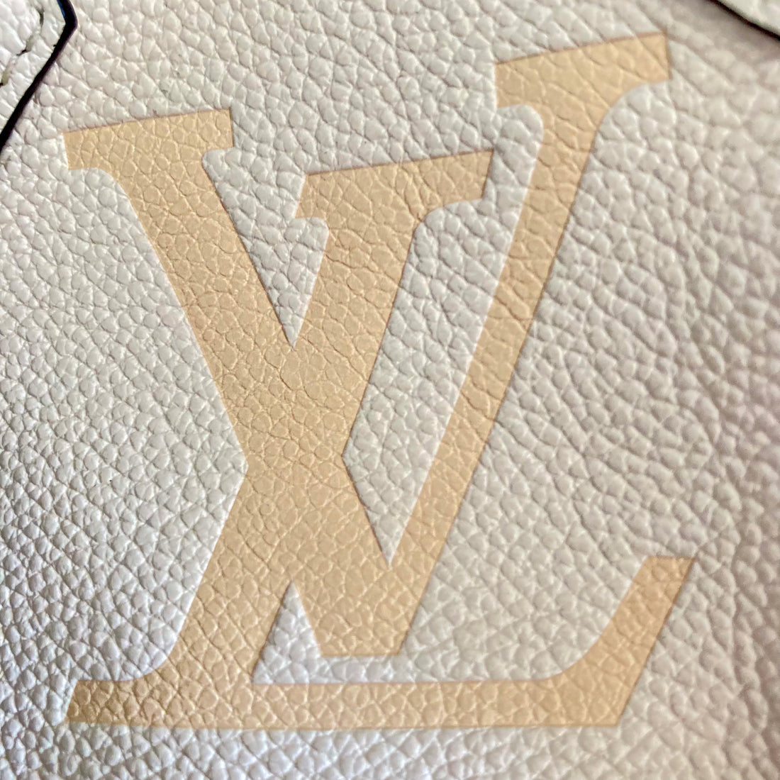 Louis Vuitton Monogram Giant By The Pool Papillon BB Cream