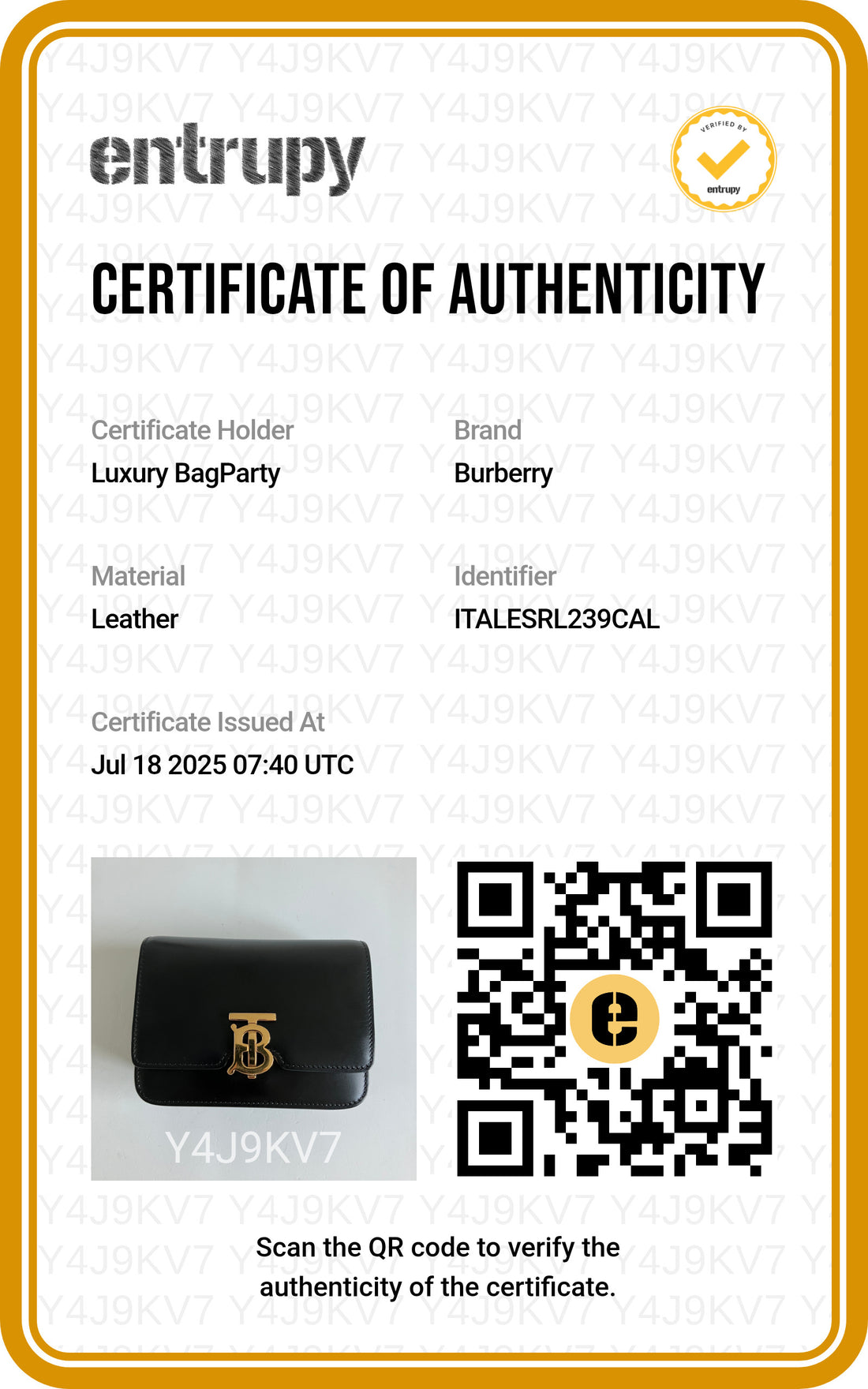 Burberry Small Flap Black Bag
