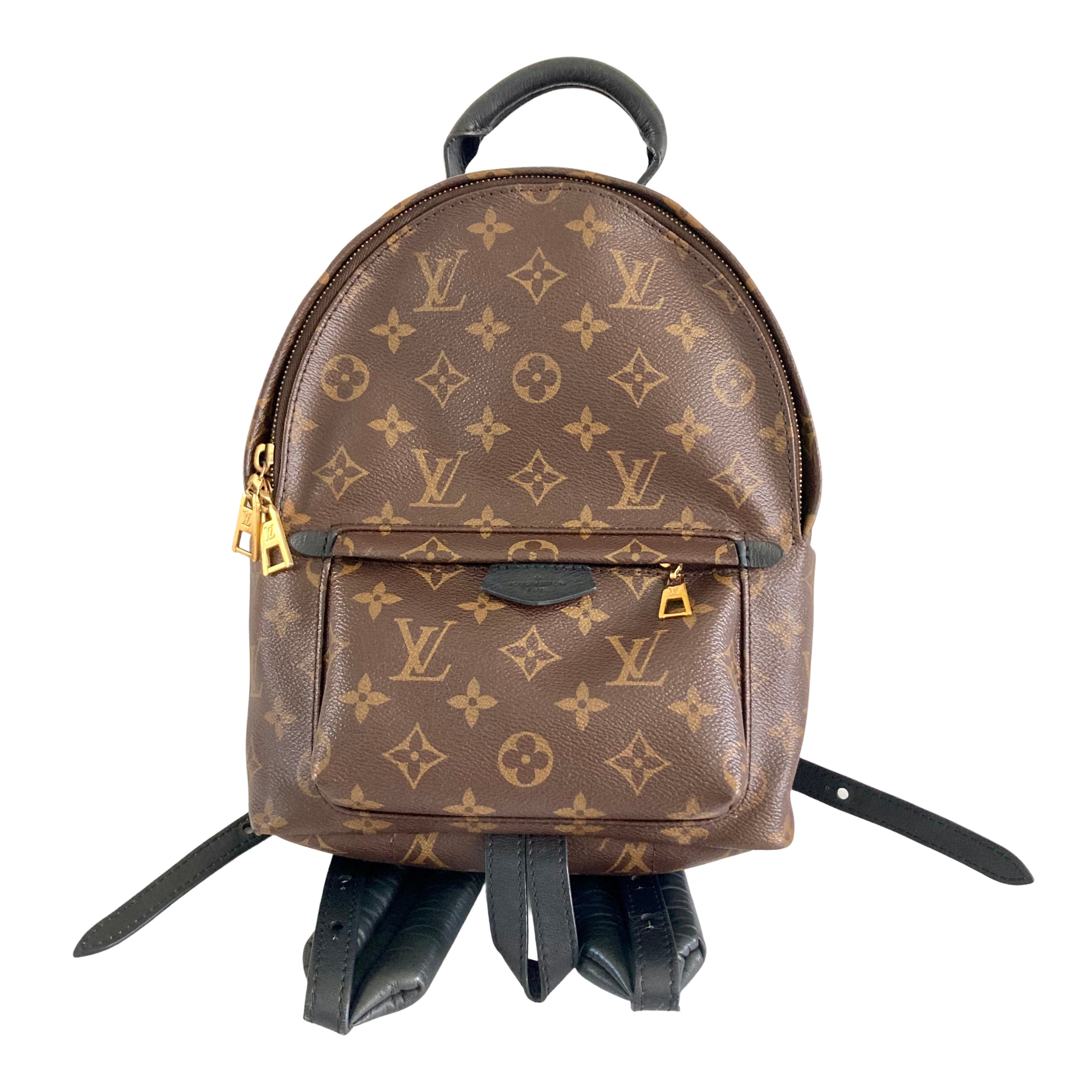 Louis Vuitton Classic Monogram Palm Spring PM