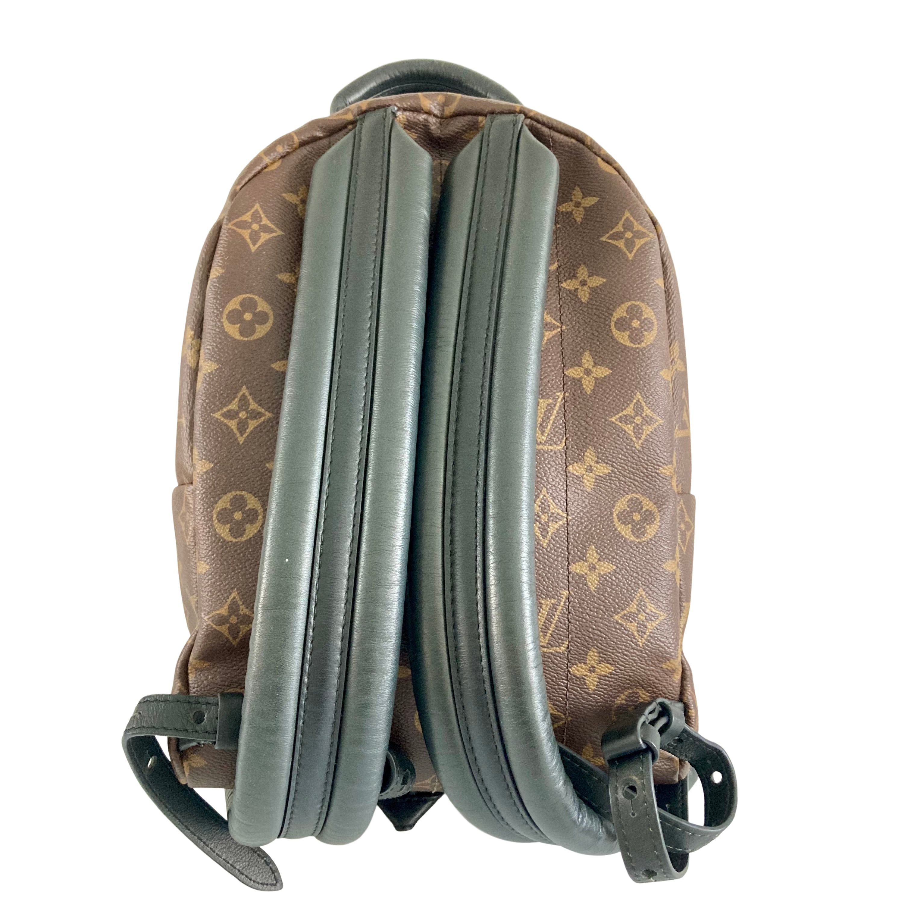 Louis Vuitton Classic Monogram Palm Spring PM