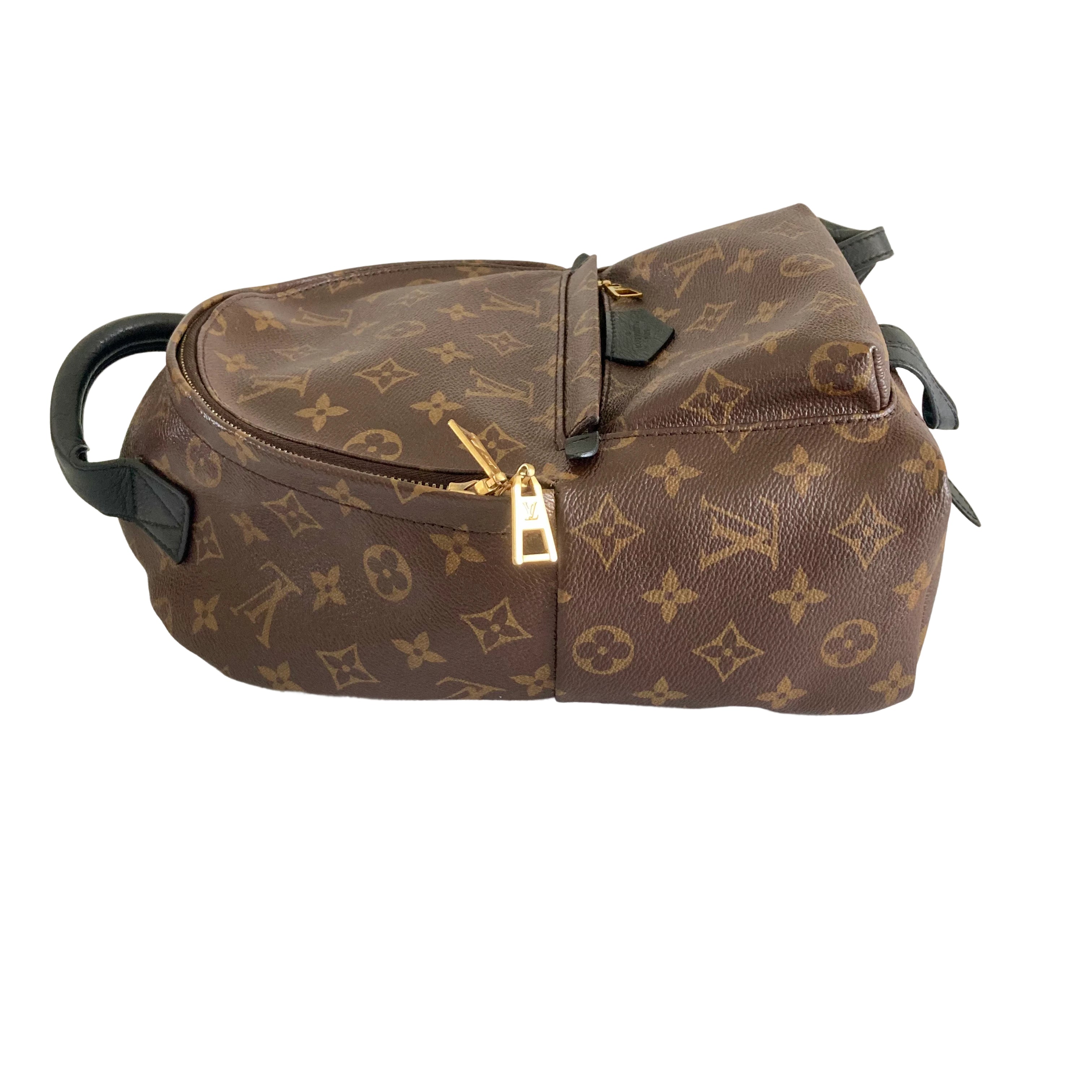 Louis Vuitton Classic Monogram Palm Spring PM