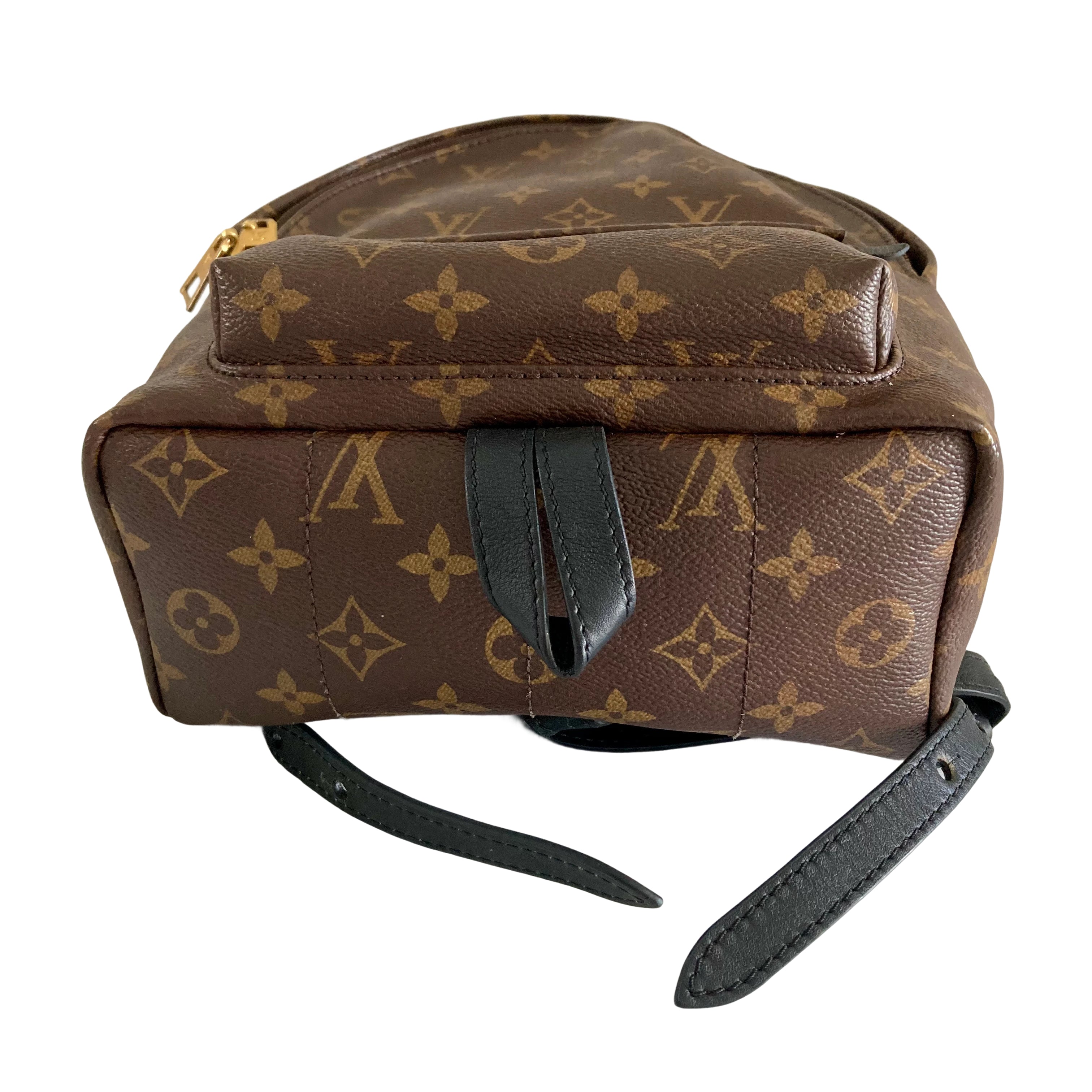 Louis Vuitton Classic Monogram Palm Spring PM