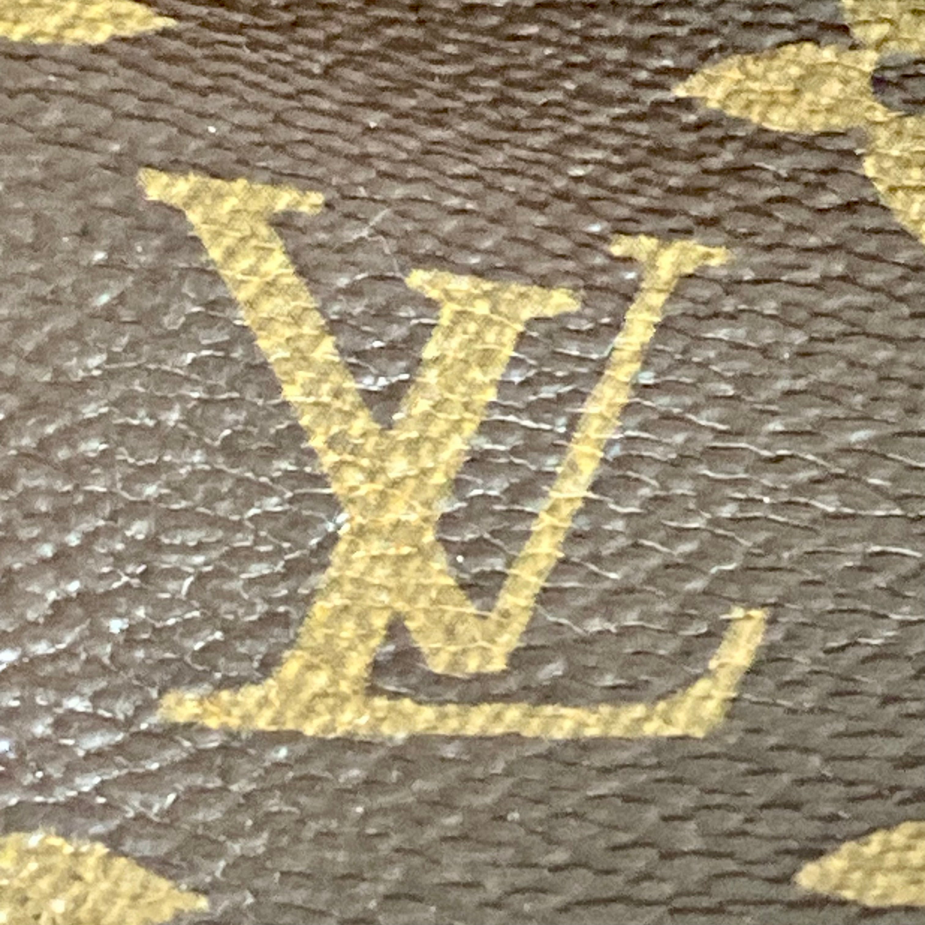 Louis Vuitton Classic Monogram Palm Spring PM