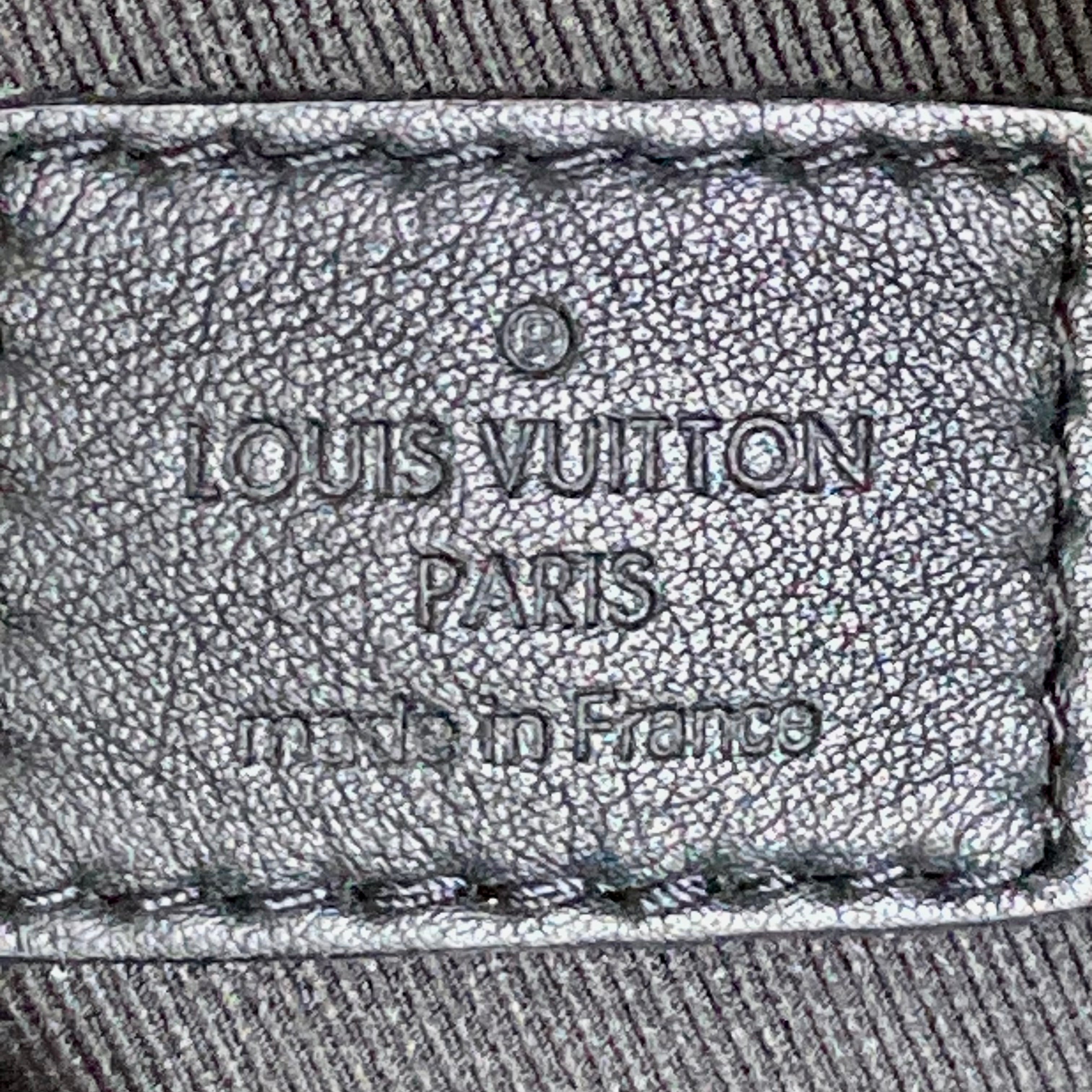 Louis Vuitton Classic Monogram Palm Spring PM