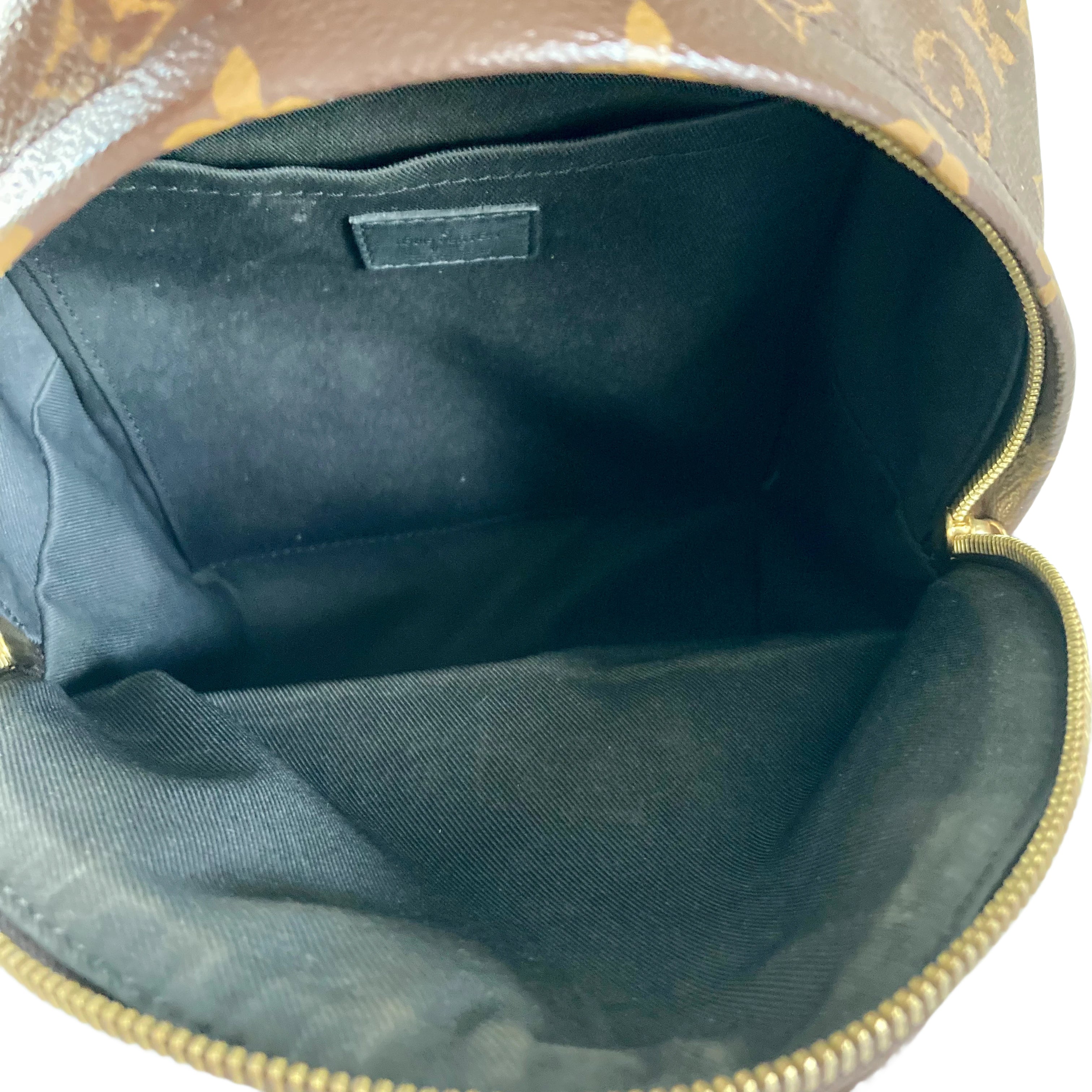 Louis Vuitton Classic Monogram Palm Spring PM