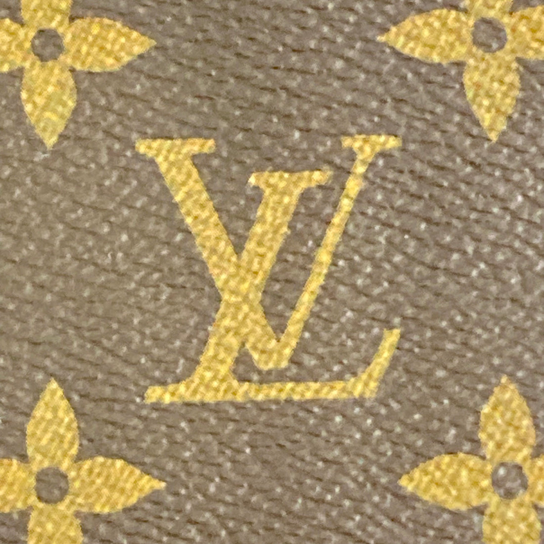 Louis Vuitton Reverse Monogram Vanity Chain Pouch