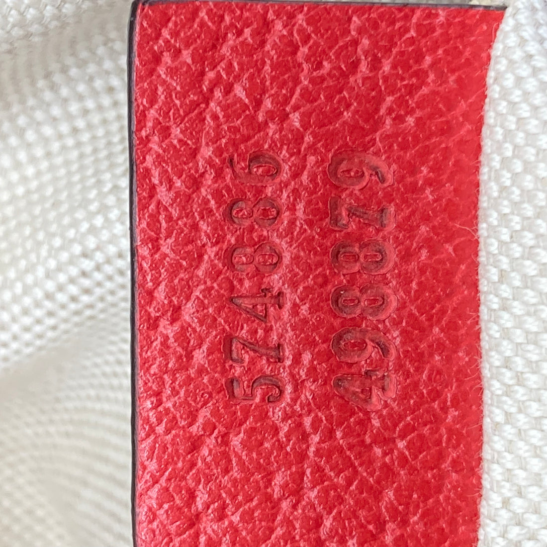 Gucci Apple Camera Messenger Special Edition GG349