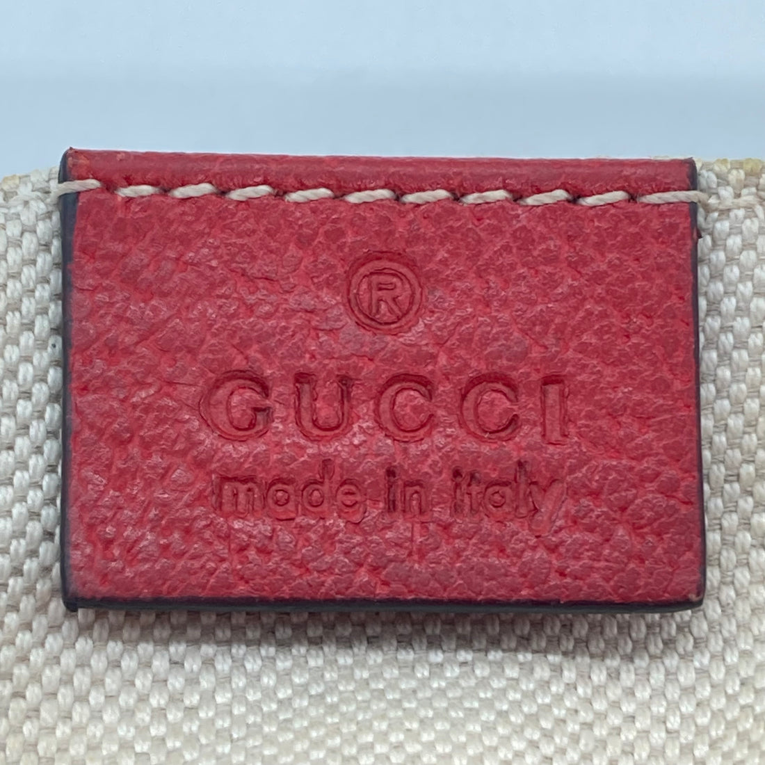 Gucci Apple Camera Messenger Special Edition GG349