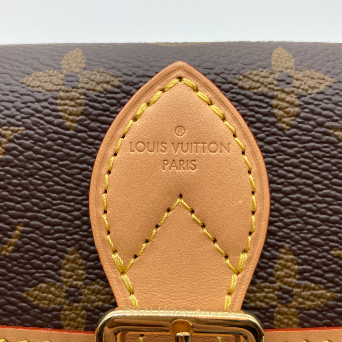 Louis Vuitton Classic Monorgam Diane Nano Shoulder Bag (MSRP 2110) LV984