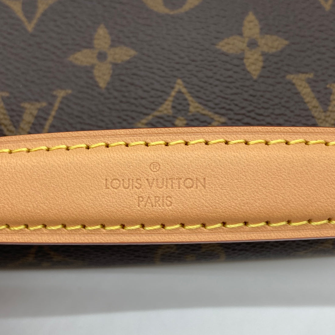 Louis Vuitton Classic Monorgam Diane Nano Shoulder Bag (MSRP 2110) LV984