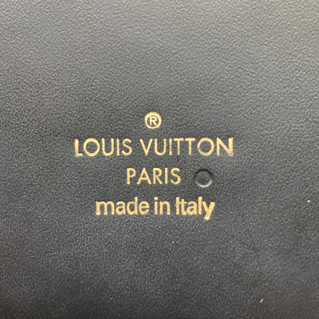 Louis Vuitton Phenix Monogram PM Shoulder Bag lv1030