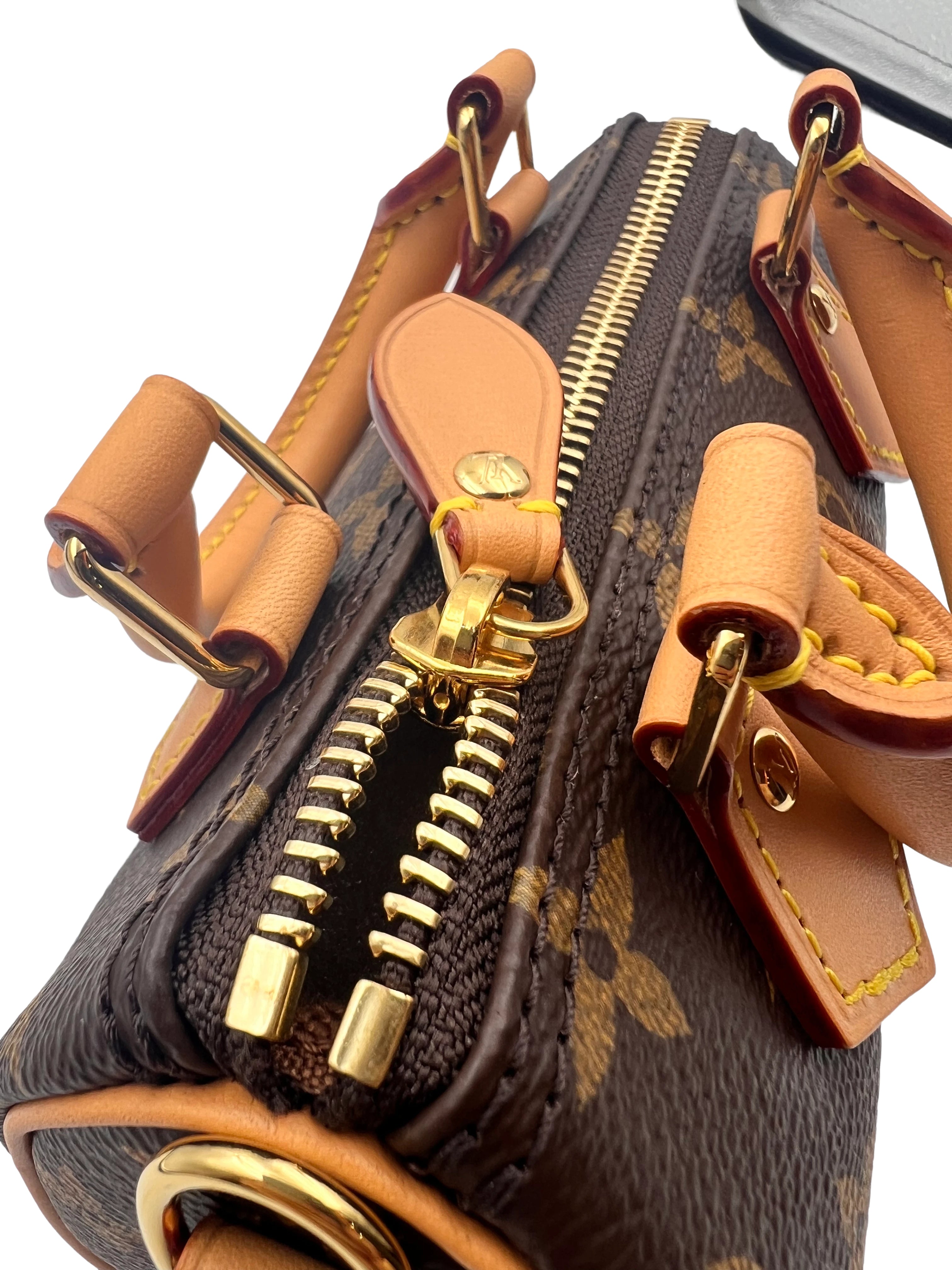 Louis Vuitton Classic Monogram Nano Speedy 2024 LV1146