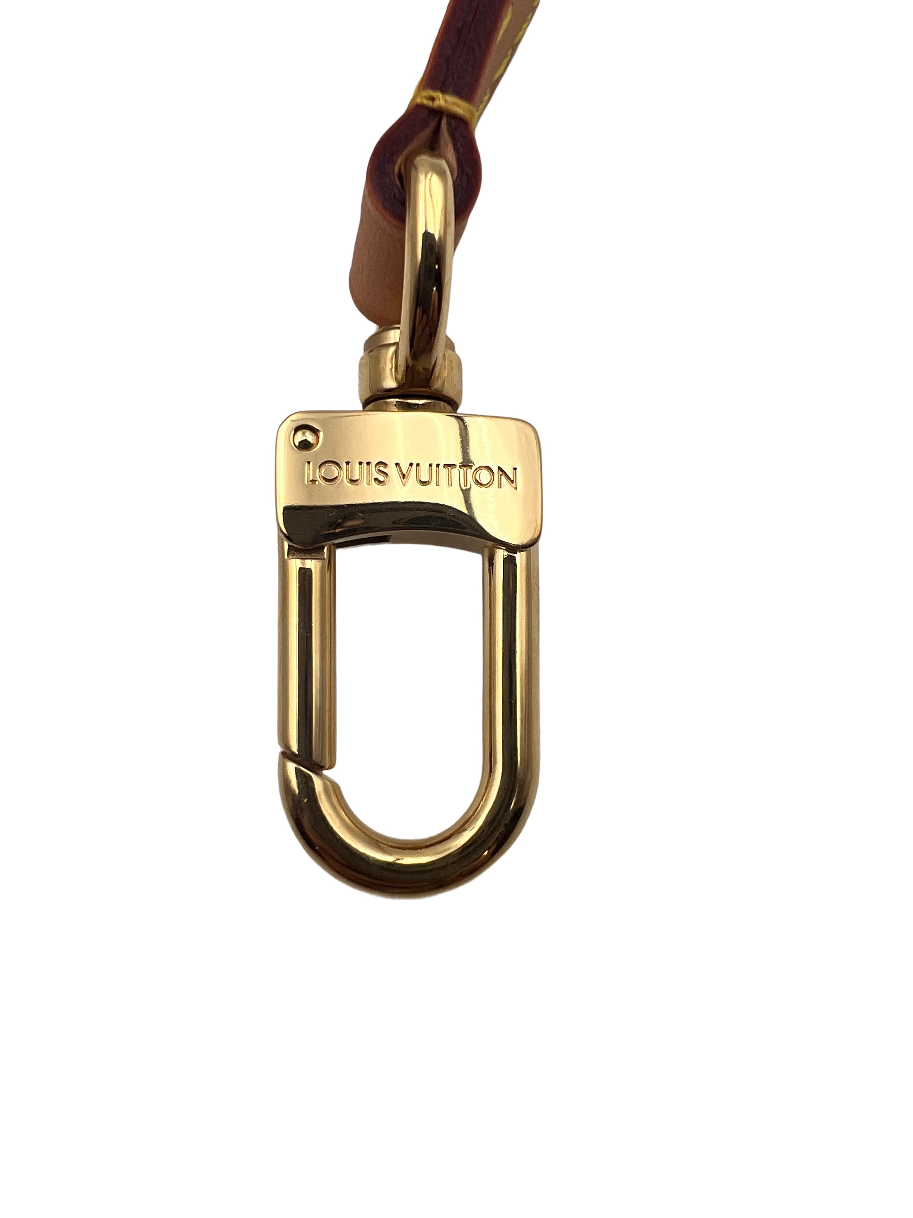 Louis Vuitton Classic Monogram Nano Speedy 2024 LV1146