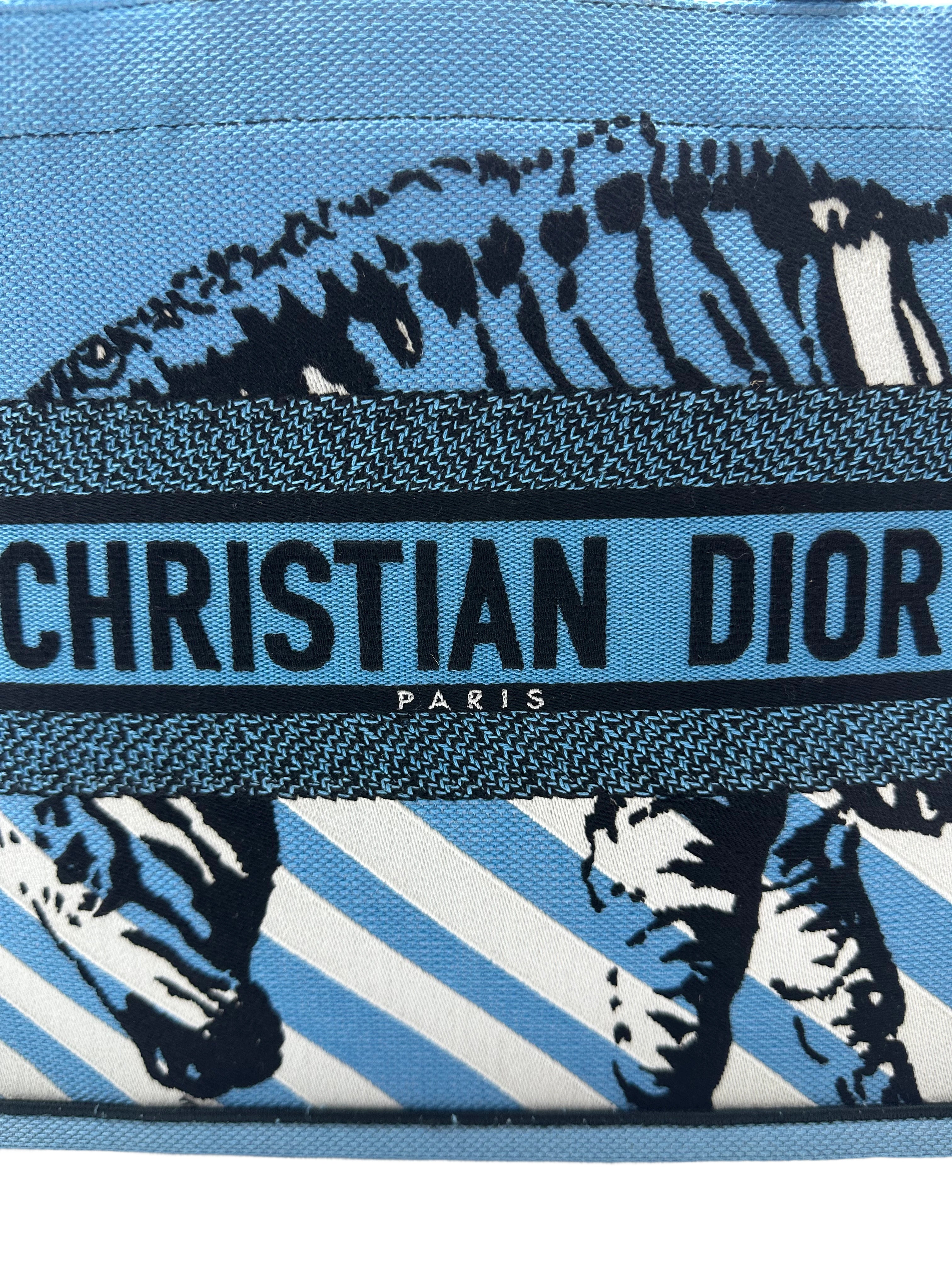 Christian Dior Zebra Embroidery Medium Booktote Blue DR239