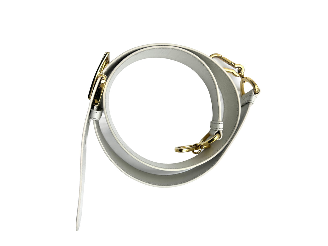 Christian Dior Calfskin 30 Montaigne Bag White Gold Hardware DR288