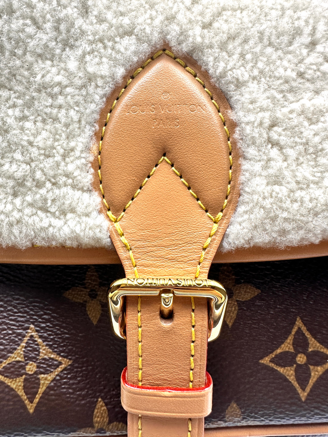 Louis Vuitton Cashmere Monogram Diane Shoulder Bag lv1247