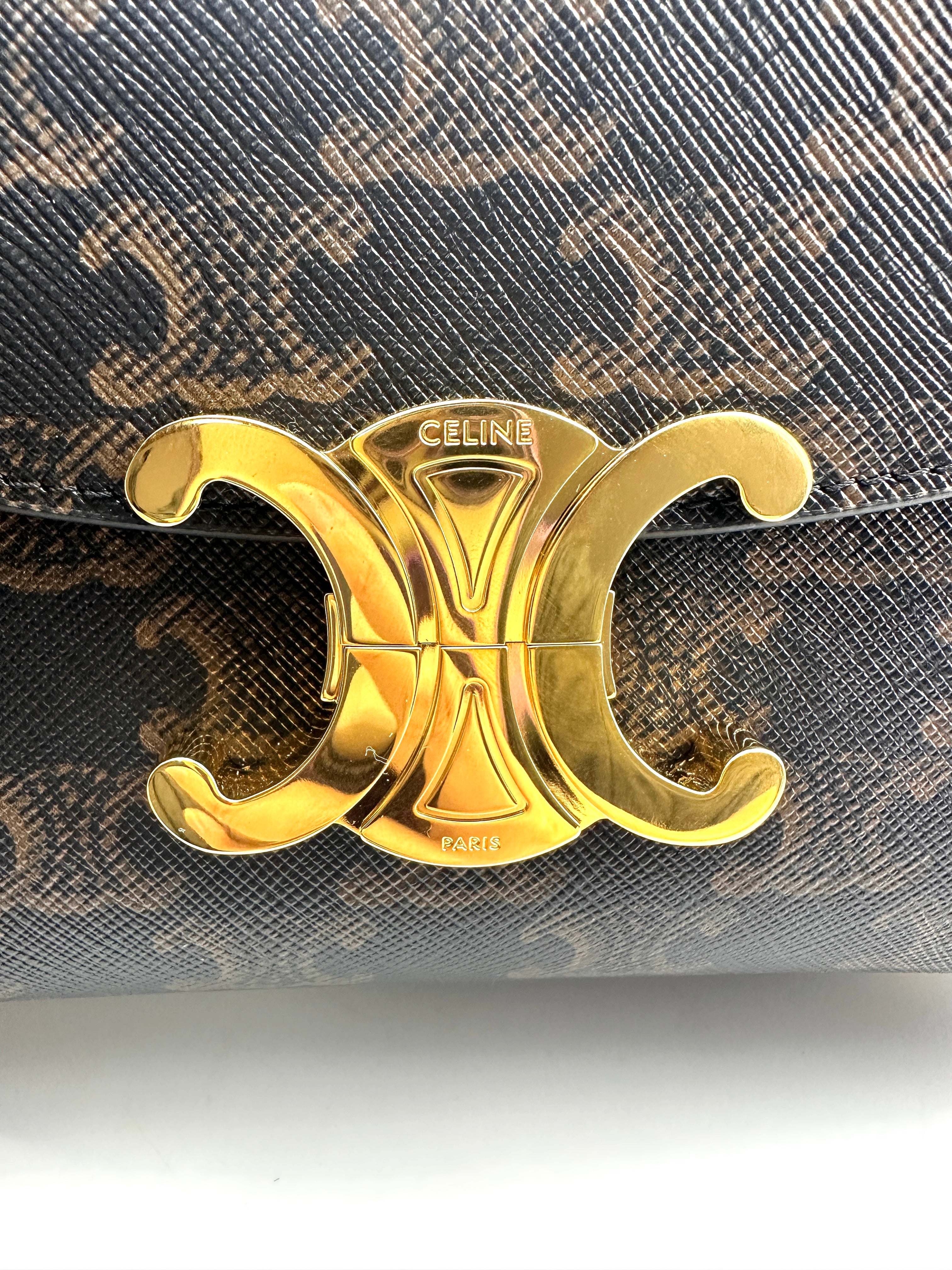Celine Triomphe Canvas Shoulder Bag CEA