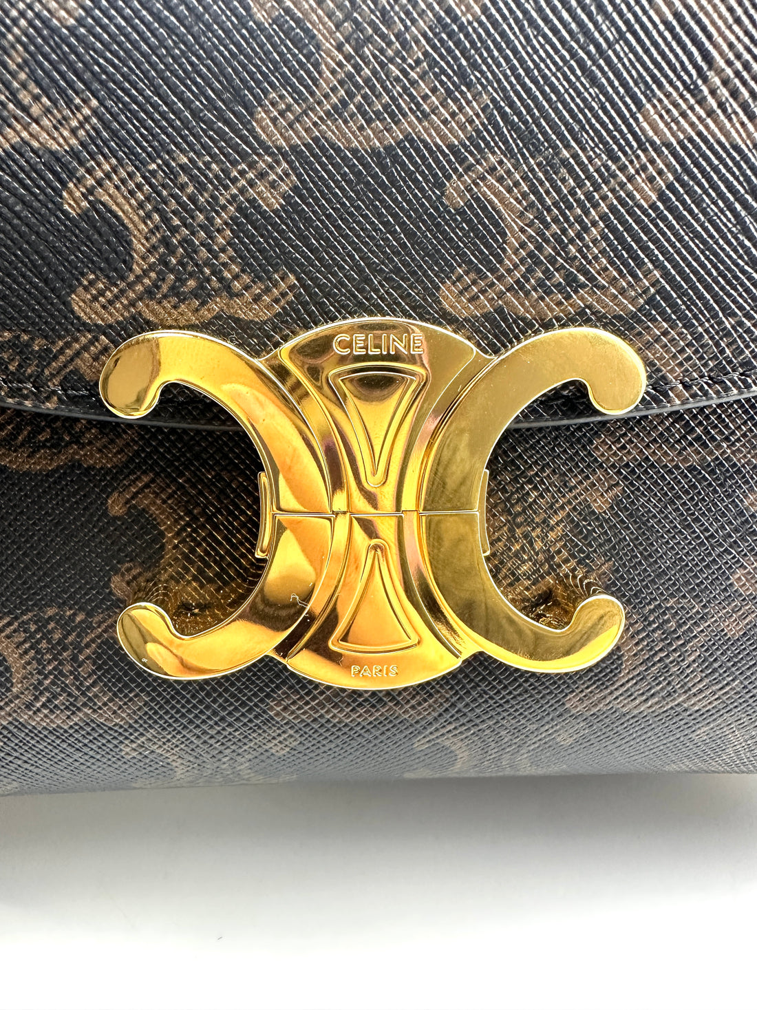 Celine Triomphe Canvas Shoulder Bag CEA