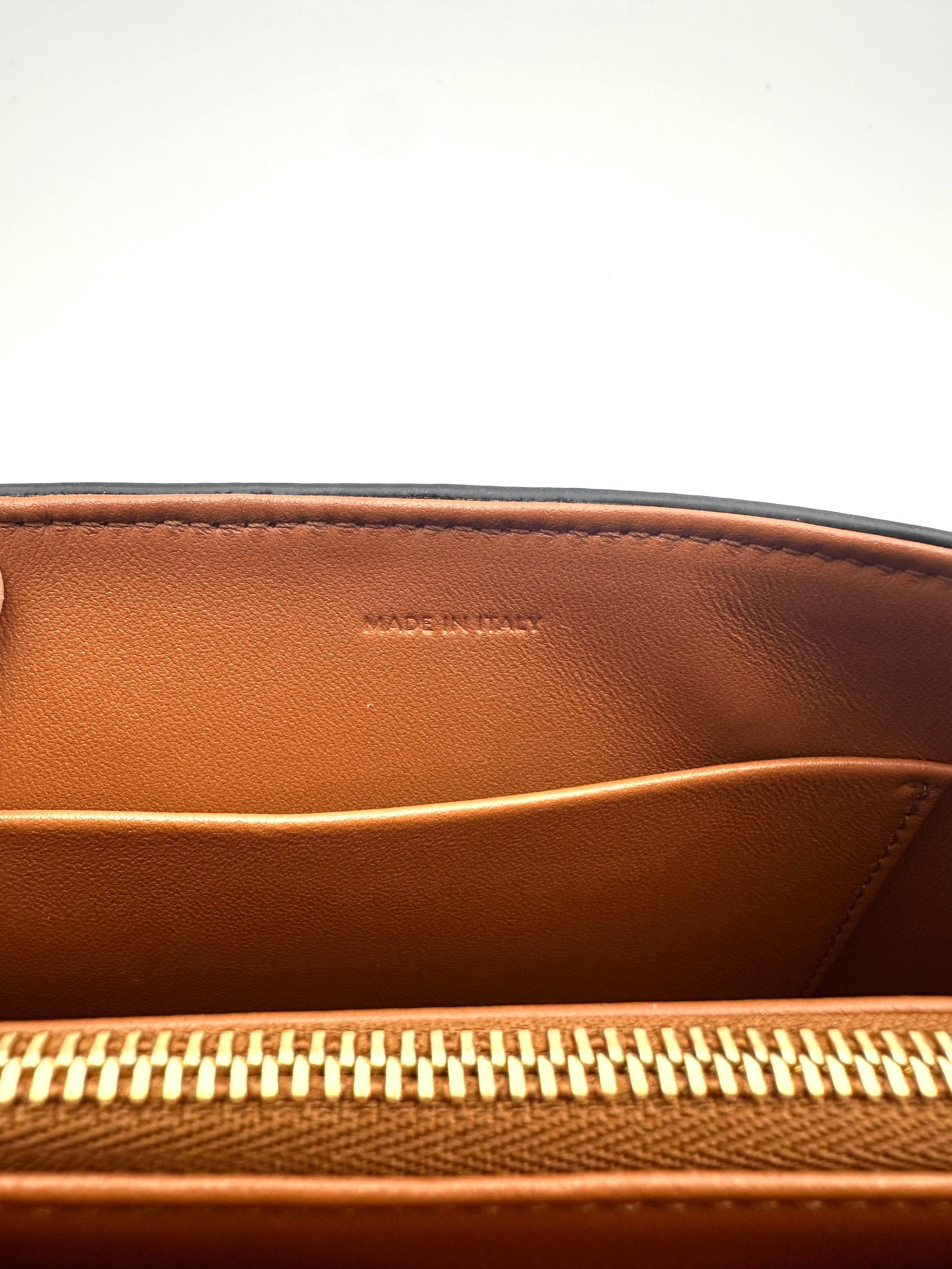Celine Triomphe Canvas Shoulder Bag CEA