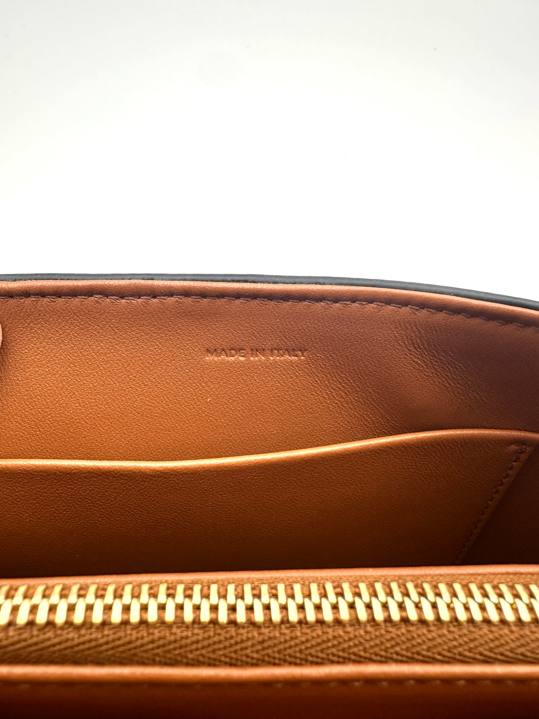 Celine Triomphe Canvas Shoulder Bag CEA