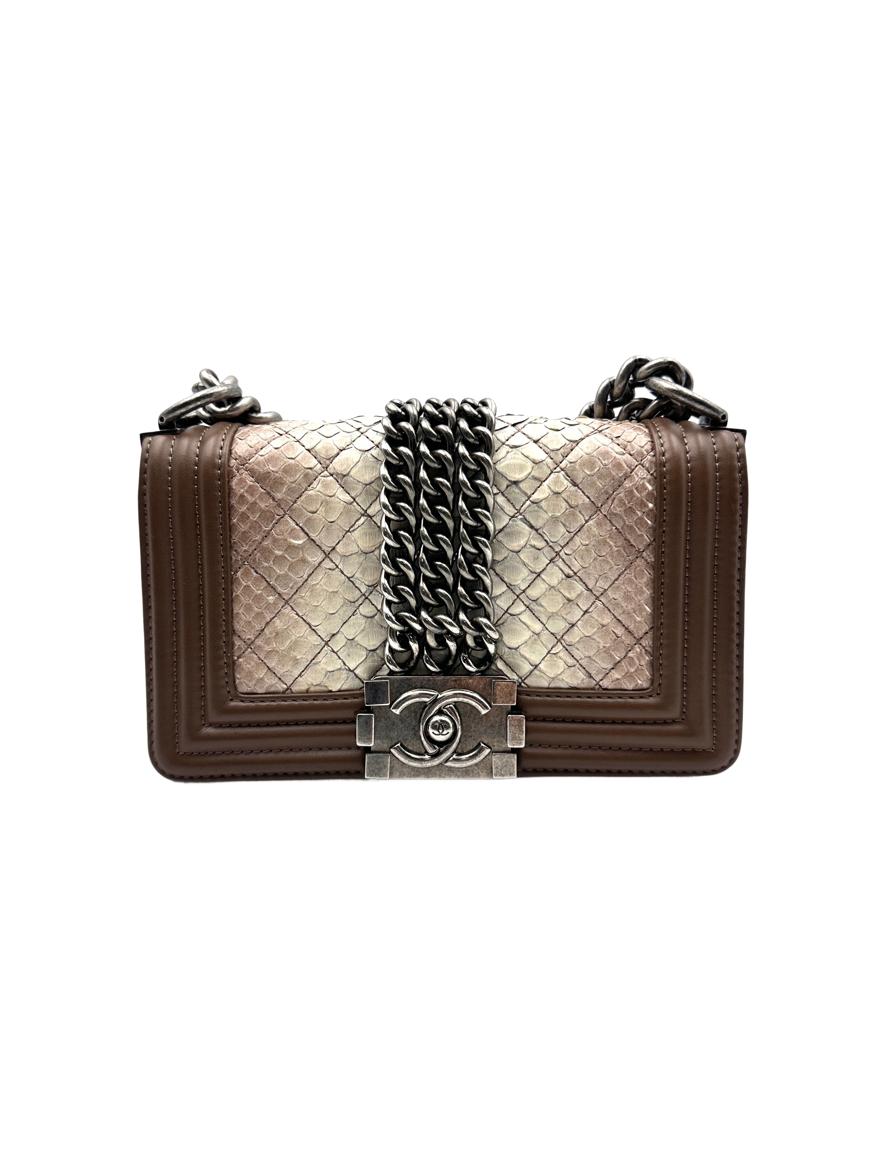 Chanel Gradient Snakeskin and Brown Leather Leboy Small Bag(17***53 ) CC913