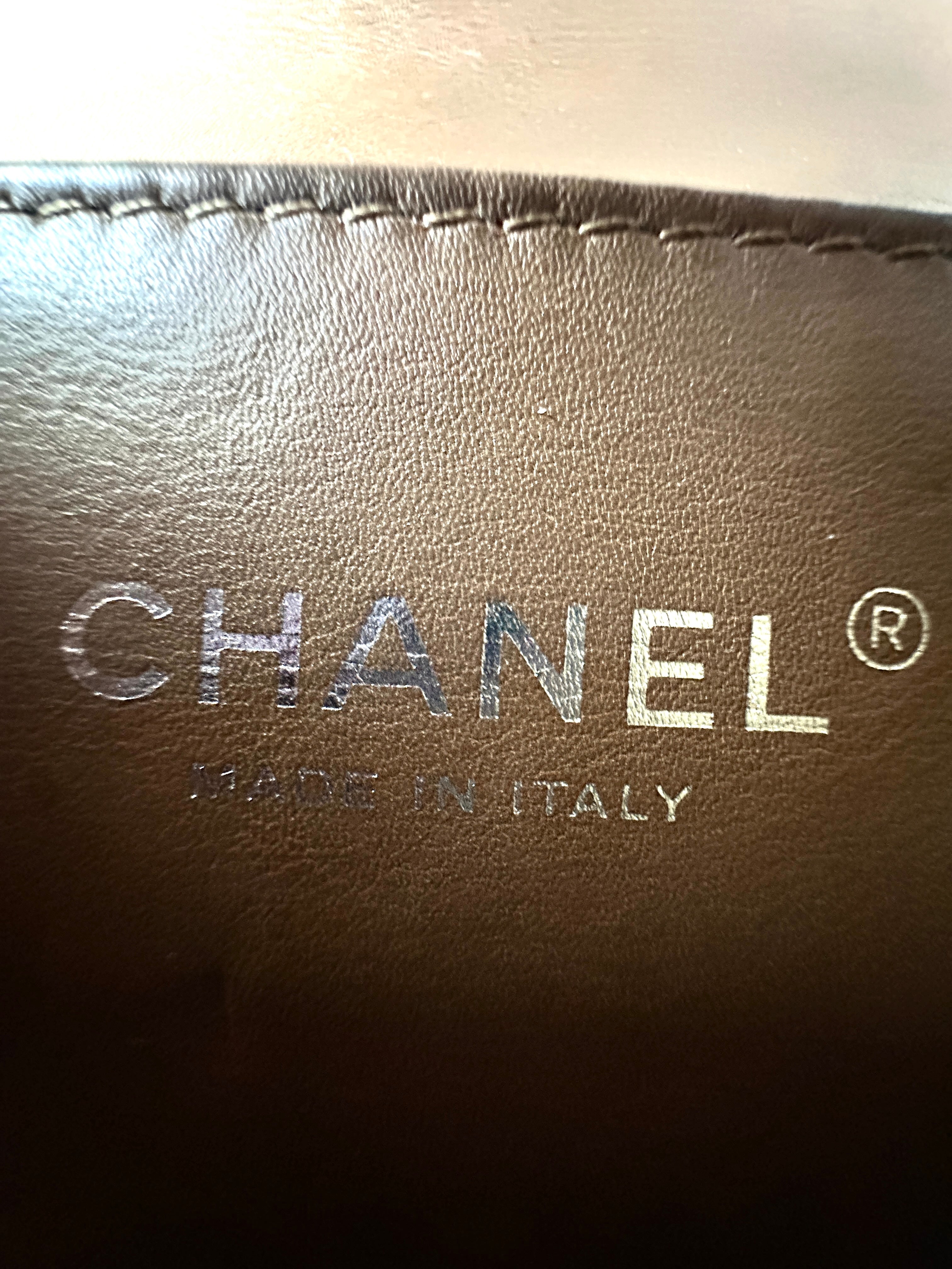 Chanel Gradient Snakeskin and Brown Leather Leboy Small Bag(17***53 ) CC913