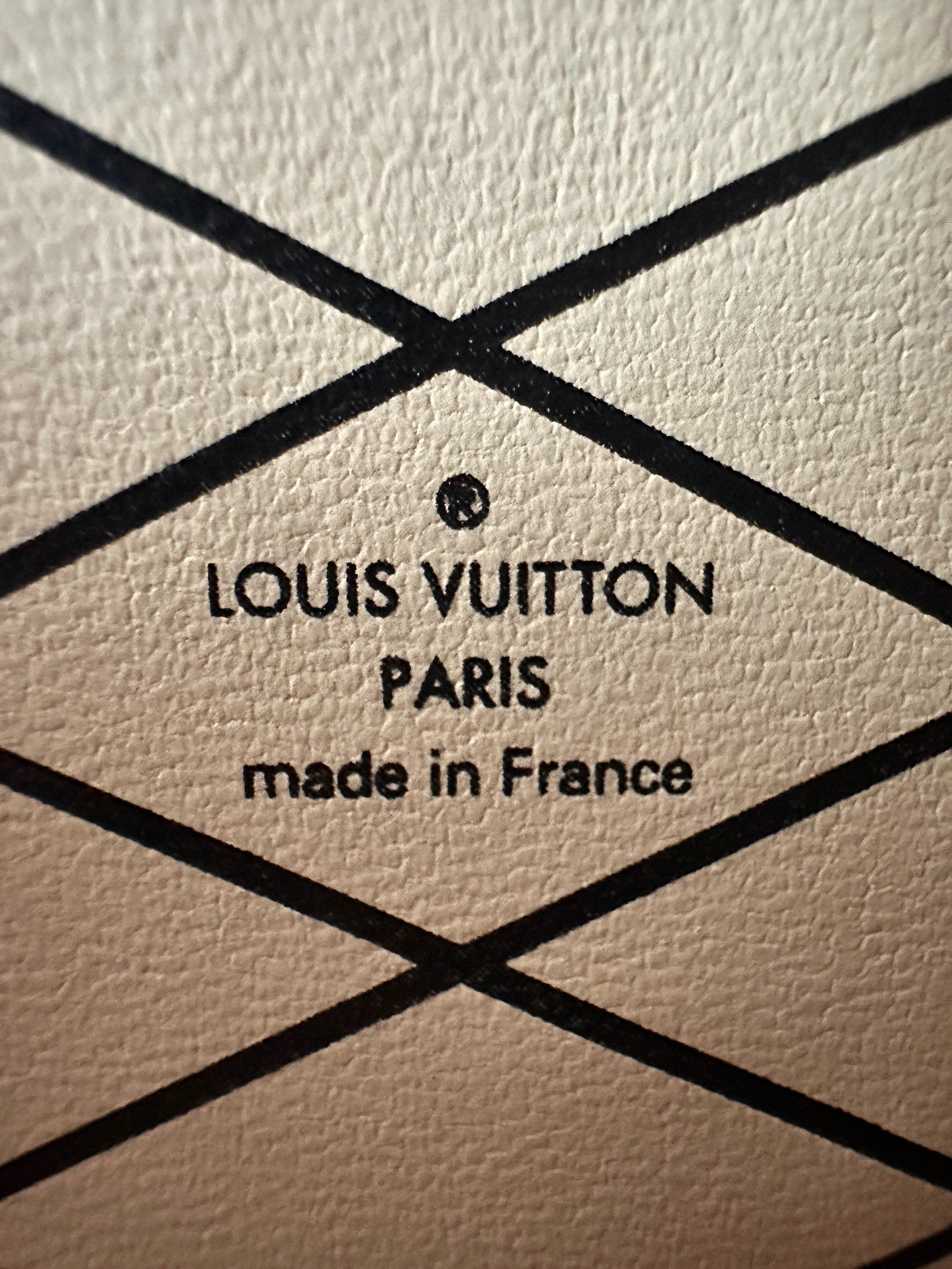 Louis Vuitton Epi Trunk Clutch Rose Ballerine Shouder Bag LV1421