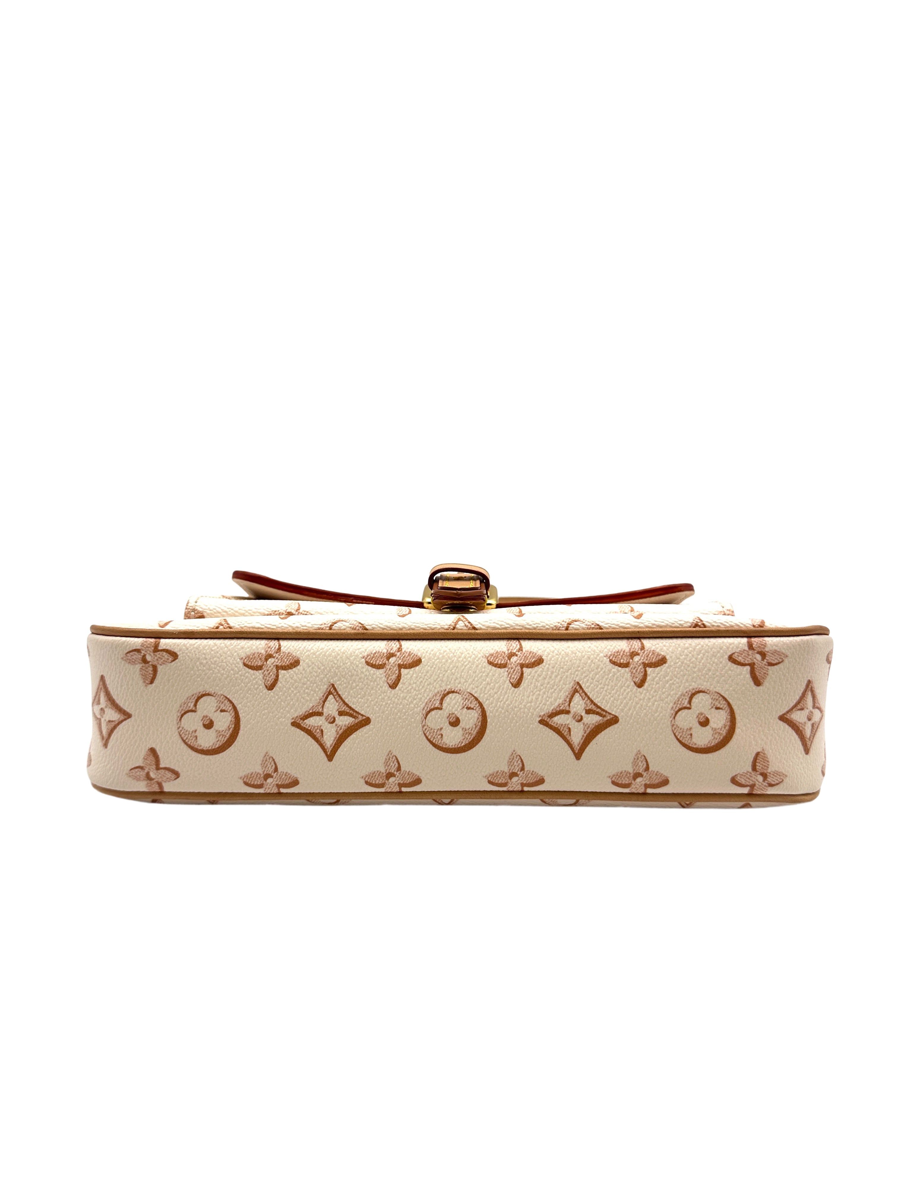 Louis Vuitton Fall For You M20920 Maxi Multi Pochette Accessories Canvas Shoulder Bag LV1553