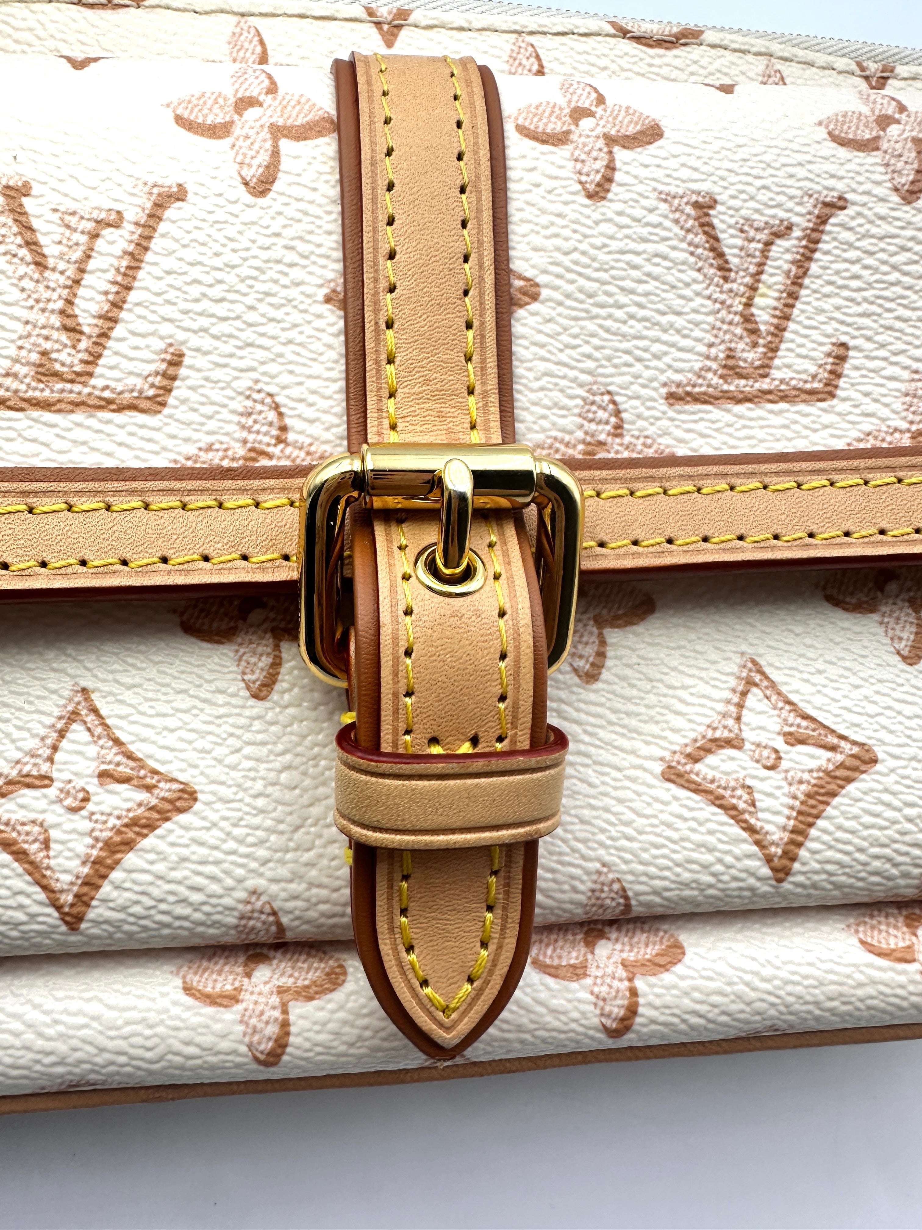 Louis Vuitton Fall For You M20920 Maxi Multi Pochette Accessories Canvas Shoulder Bag LV1553