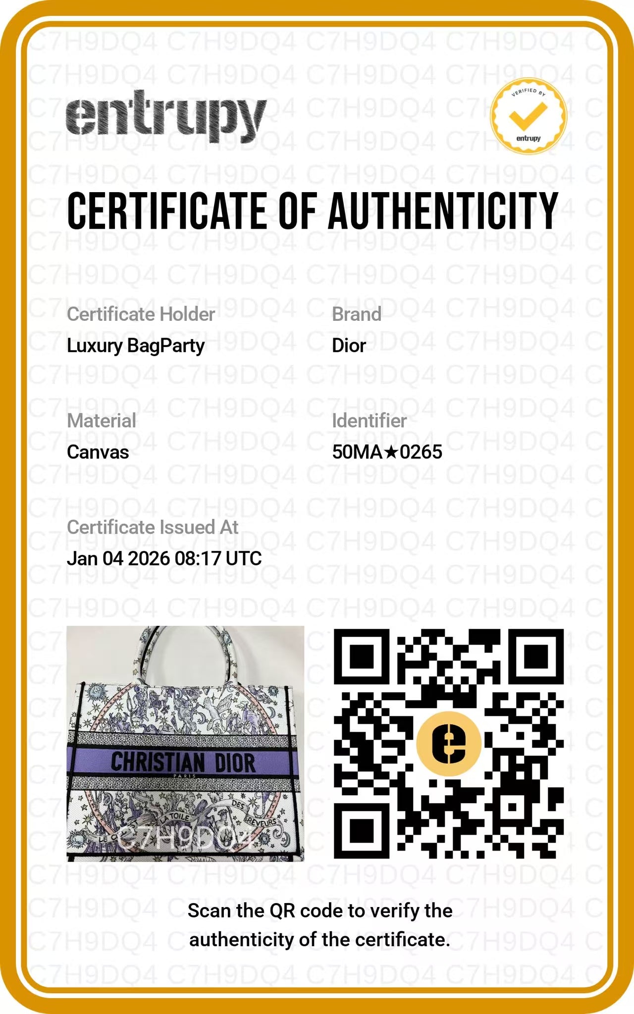 Christian Dior Zodiac Embroidered Medium Book Tote DRA