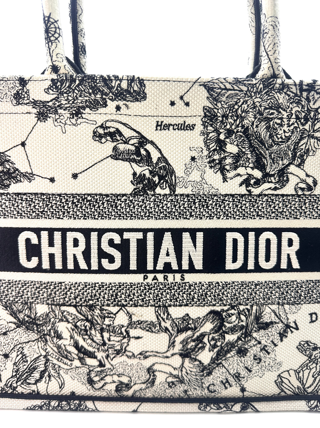 Christian Dior Latte and Black Dior Zodiac Embroidery Medium Book Tote Bag DRG