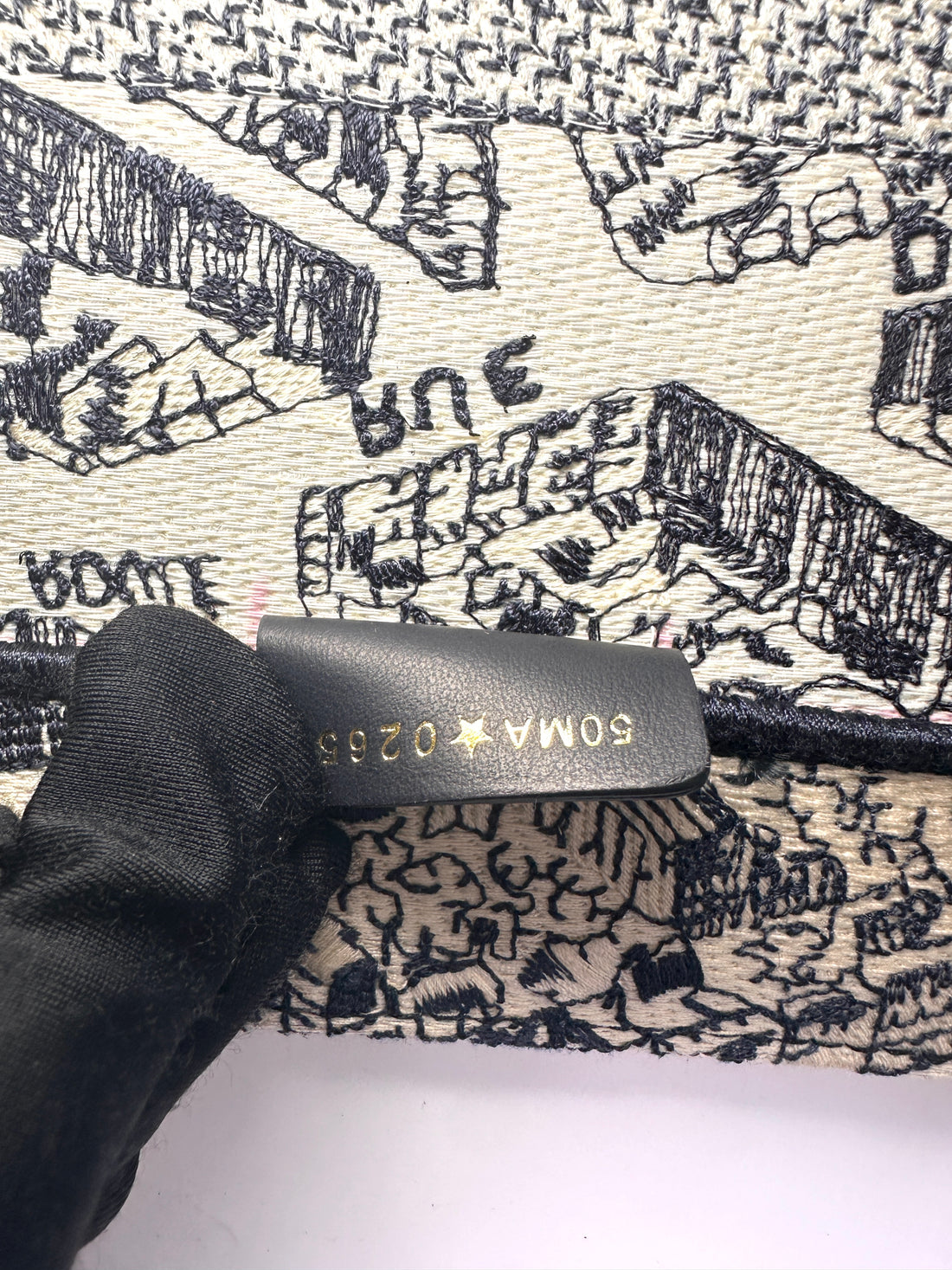 Christian Dior Black and White Plan de Paris  Embroidery Medium Book Tote Bag White DRI