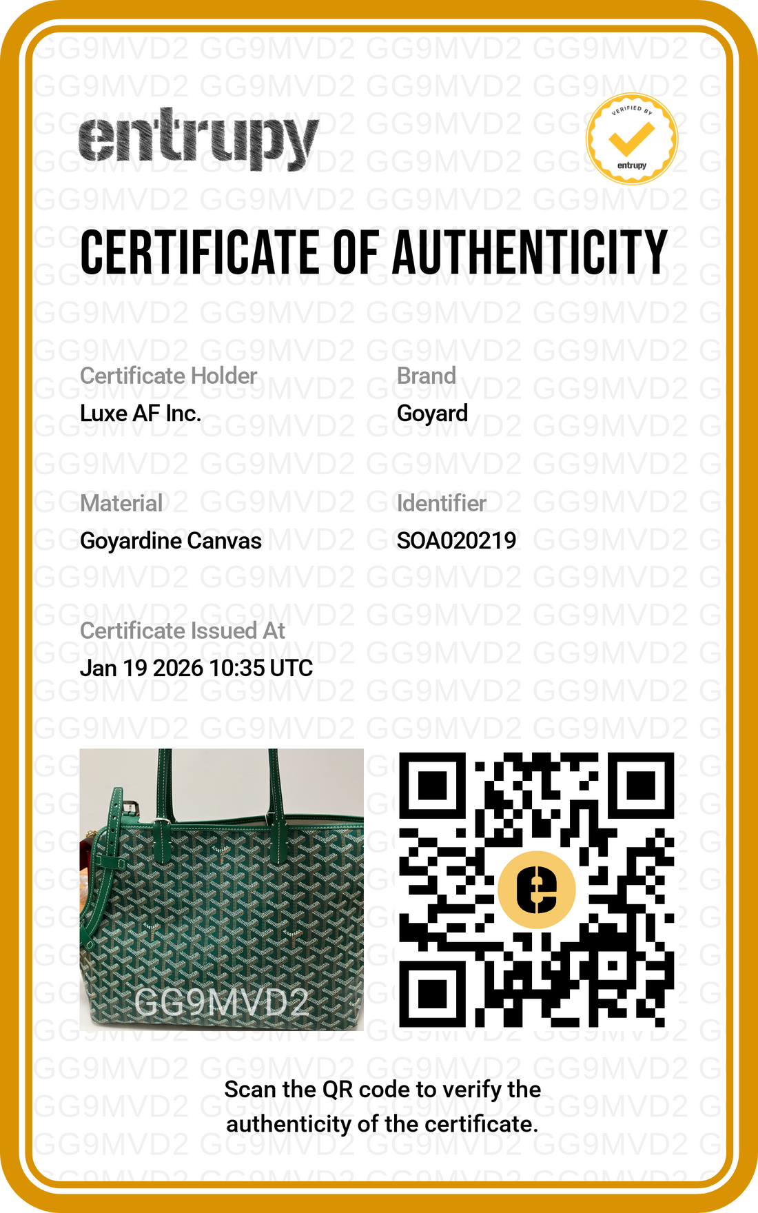 Goyard Chien-Gris Green Goyardine Tote Bag GR41