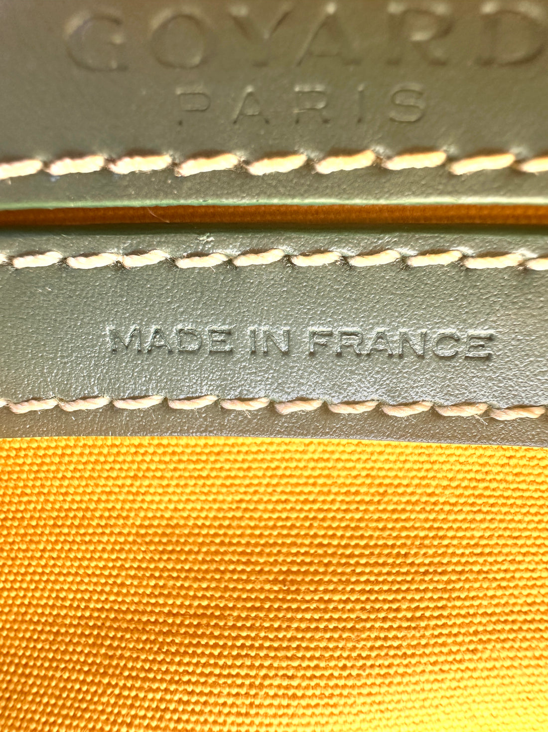 Goyard Capvert PM Goyardine Saccap Vert Shoulder Bag GR43