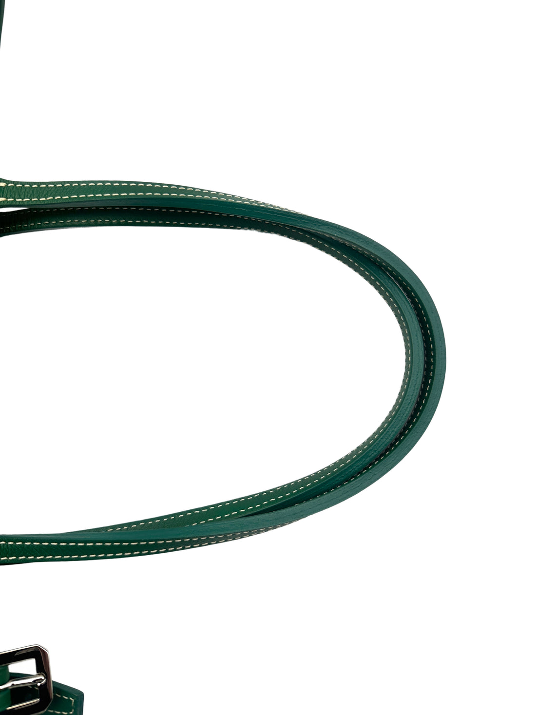 Goyard Chien-Gris Green Goyardine Tote Bag GR41