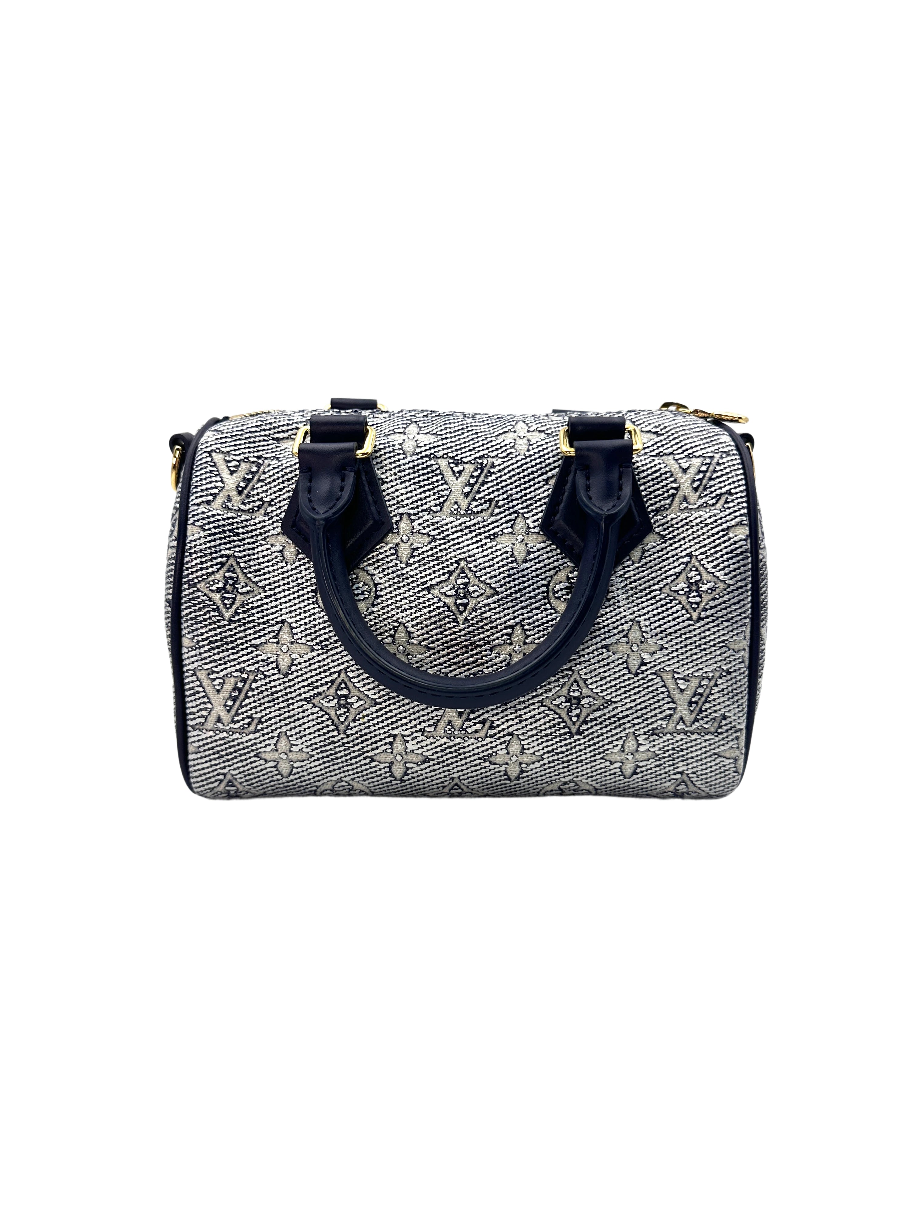 Louis Vuitton Speedy 20 Monogram Handle Bag LV1687