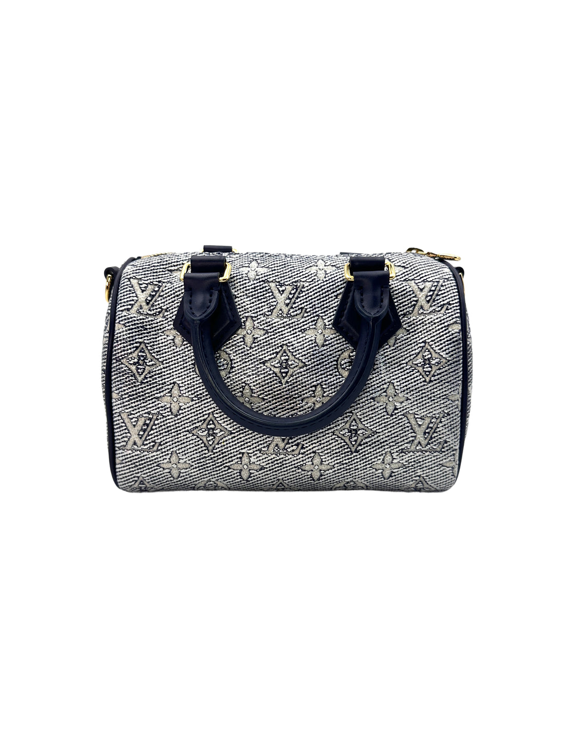 Louis Vuitton Speedy 20 Monogram Handle Bag LV1687