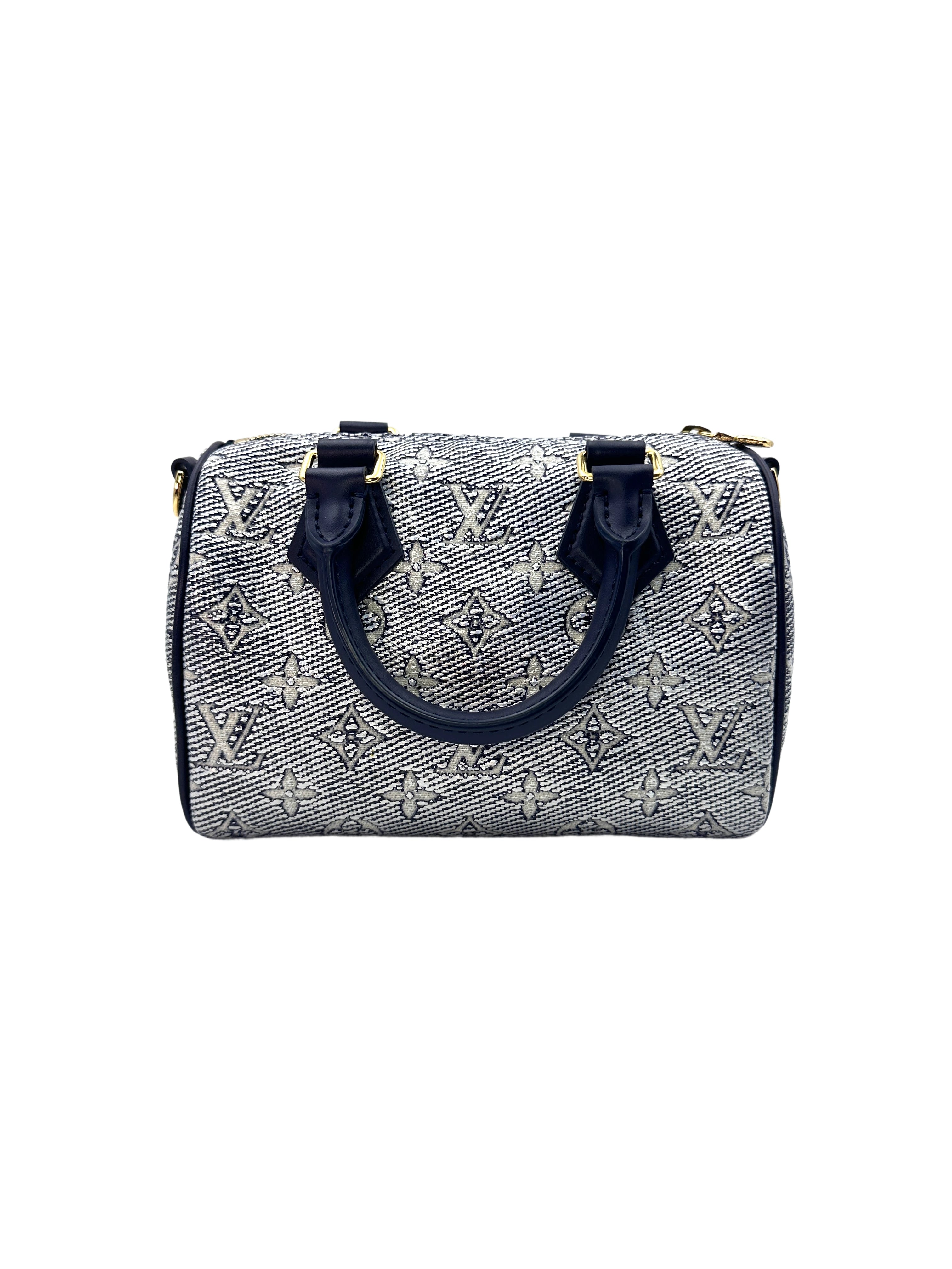 Louis Vuitton Speedy 20 Monogram Handle Bag LV1687