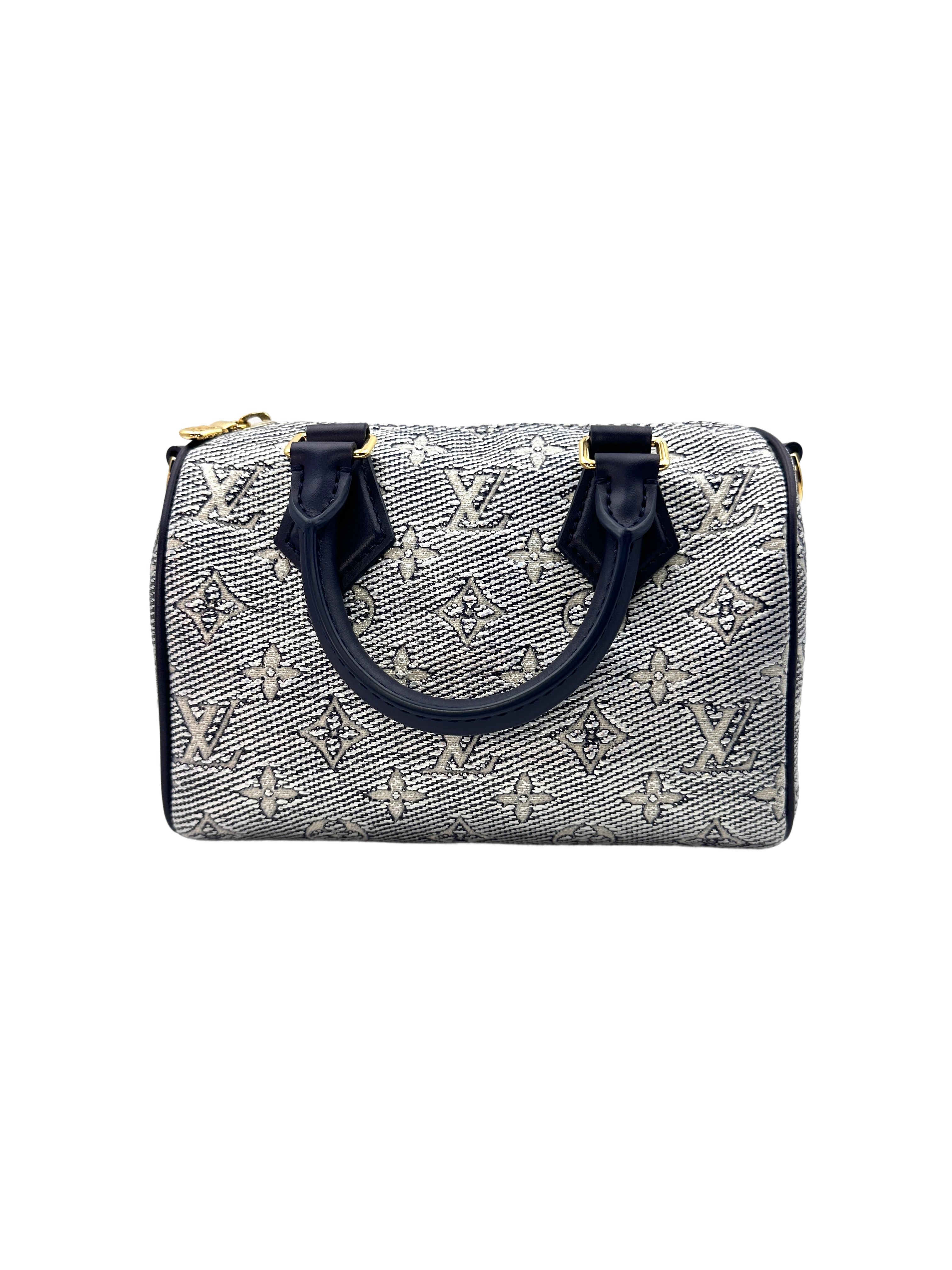 Louis Vuitton Speedy 20 Monogram Handle Bag LV1687