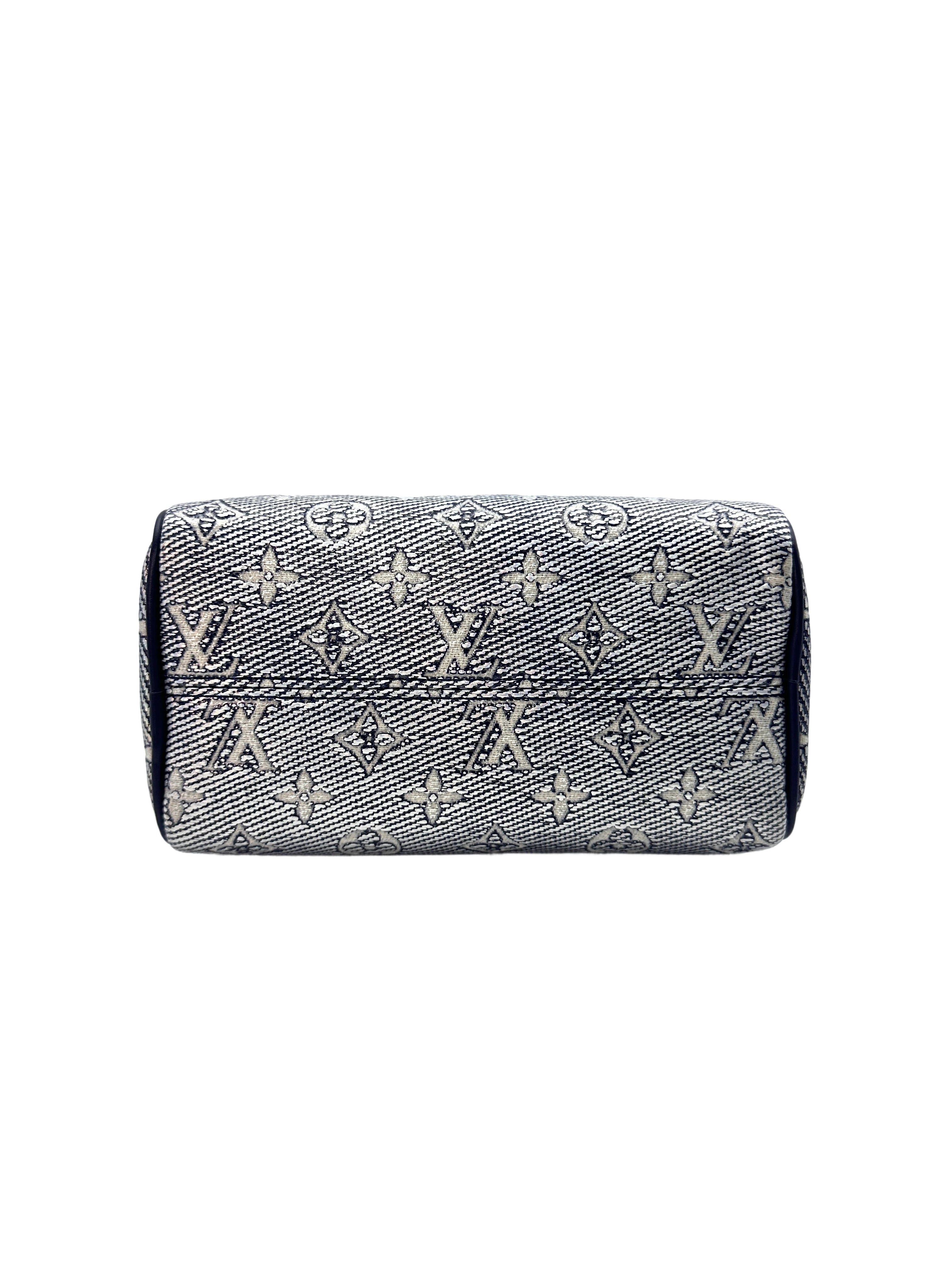Louis Vuitton Speedy 20 Monogram Handle Bag LV1687