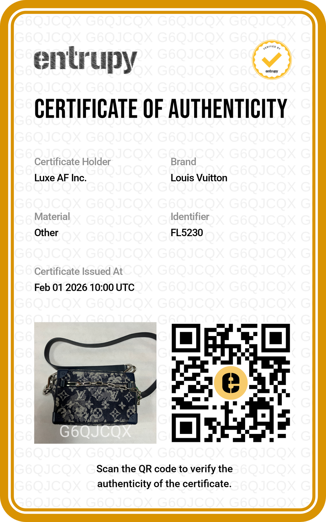 Louis Vuitton Solf Trunk Black Monogram Tapestry Chain Shoulder Bag LV1778