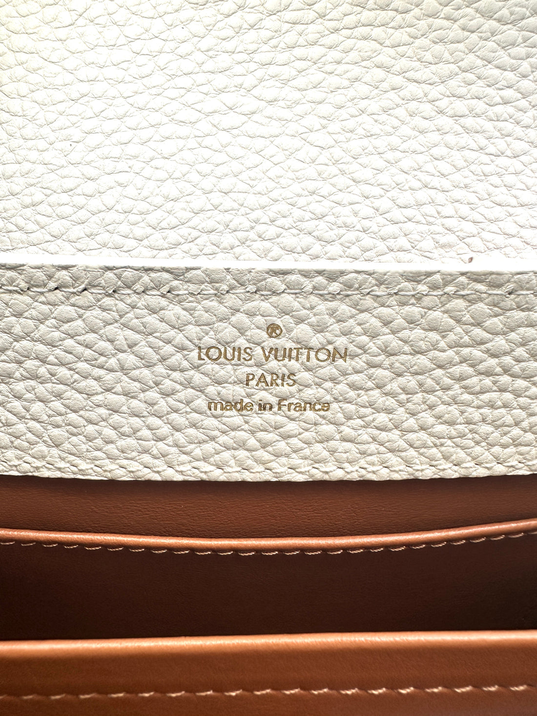 Louis Vuitton Capucines Mini Gelato Multicolor Taurillon Calfskin Handle Bag G044