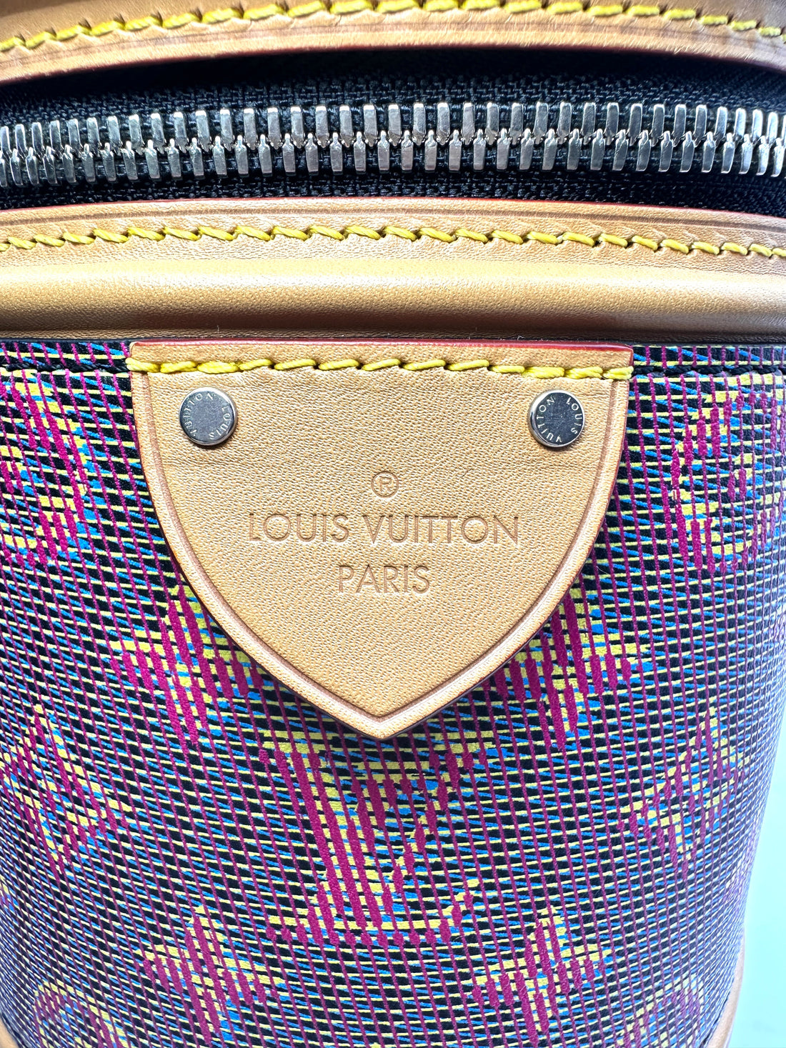 Louis Vuitton Cannes Monogram LV Pop Handle Bag LV1898