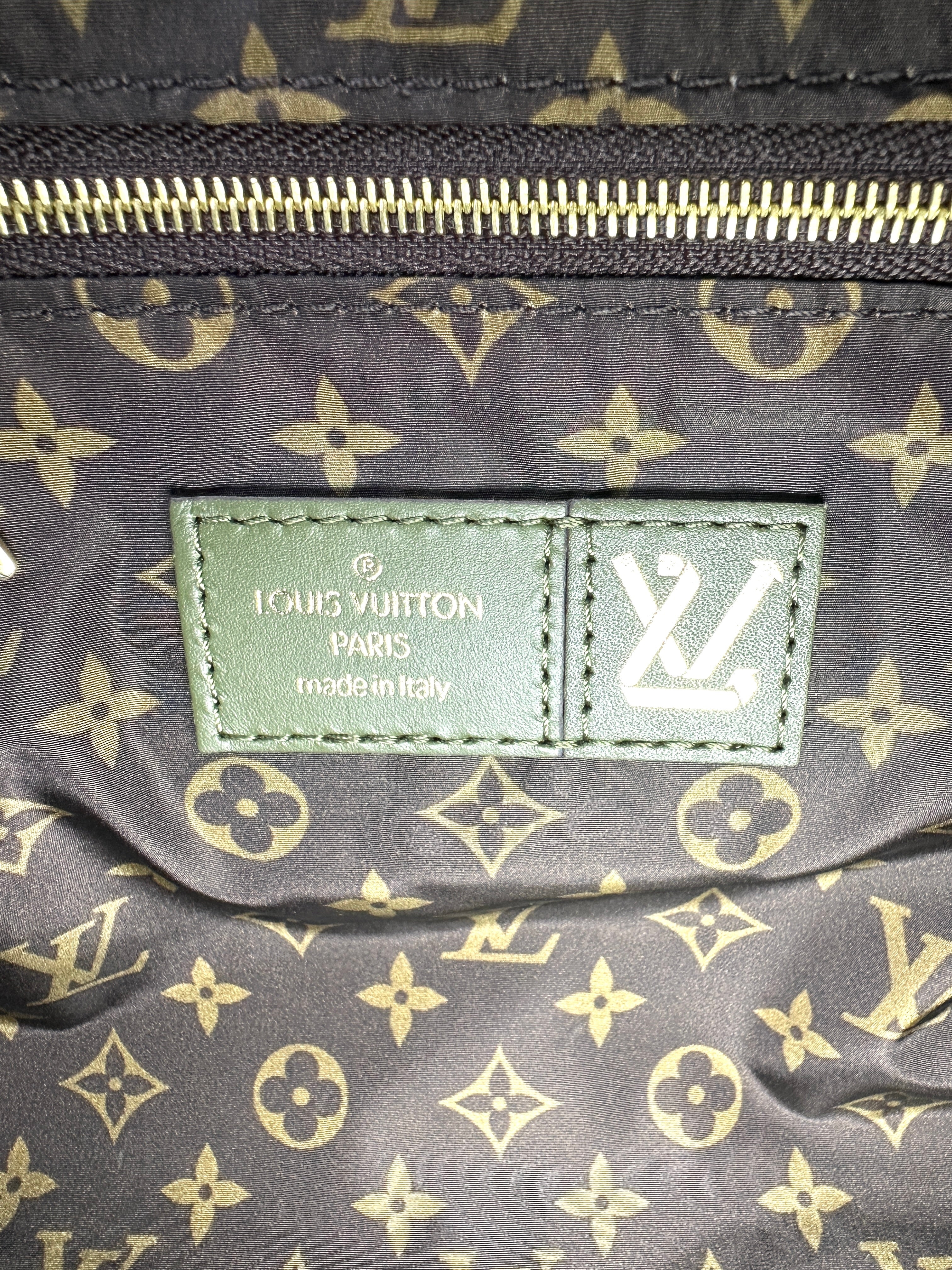 Louis Vuitton Pillow Speedy 25 Green Handle Bag IRIS004