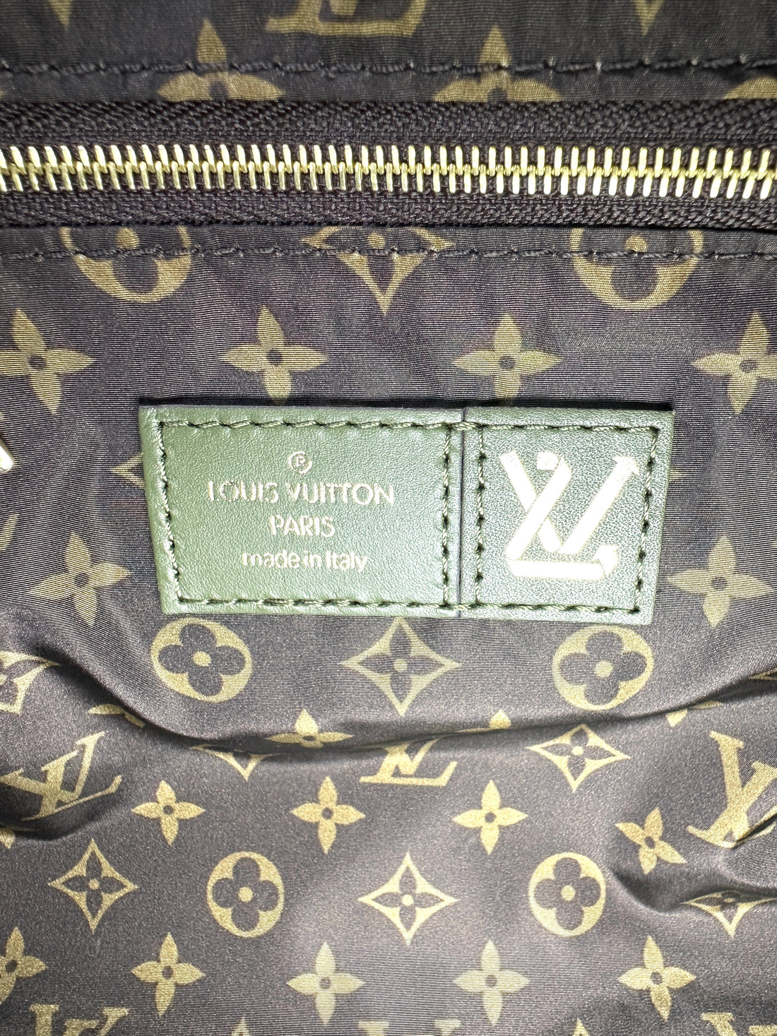 Louis Vuitton Pillow Speedy 25 Green Handle Bag IRIS004