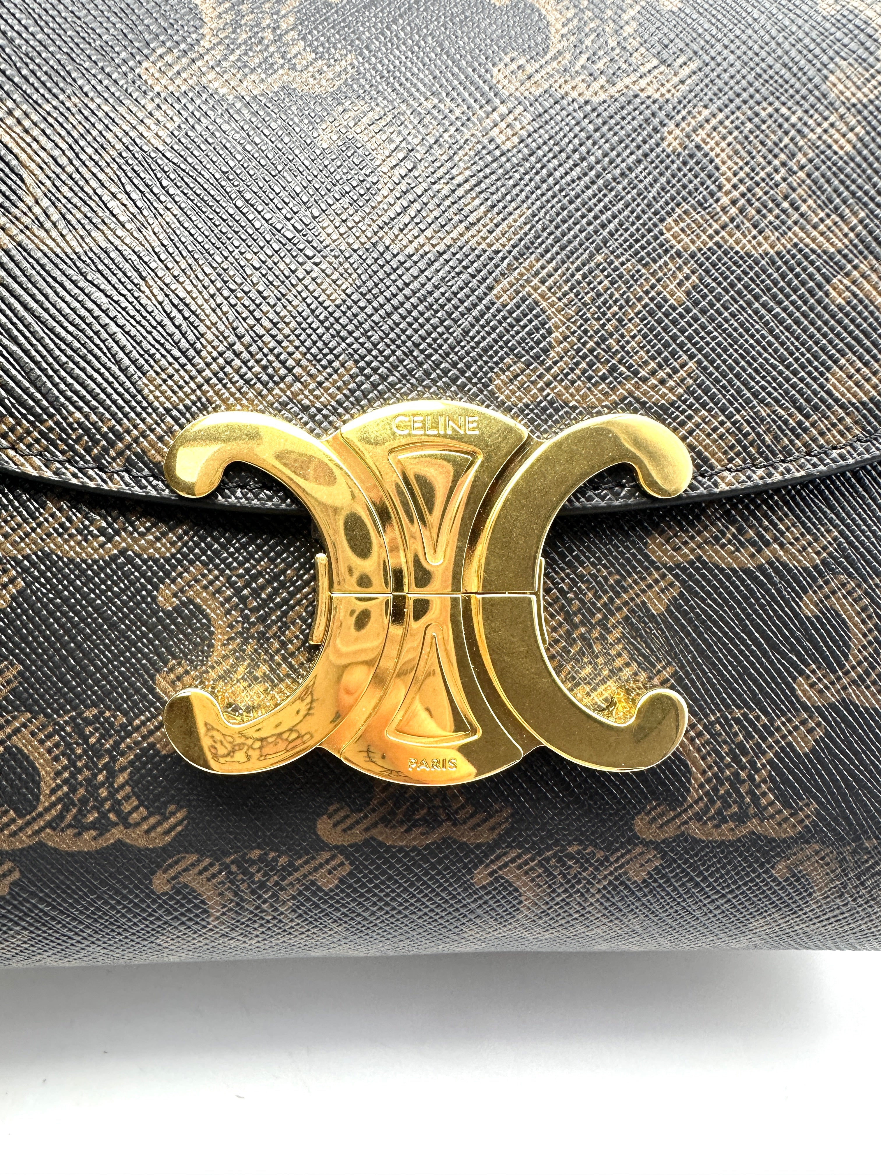 Celine Nino Brown Triomphe Canvas Handle Bag With Gold Triomphe Hardware CE134