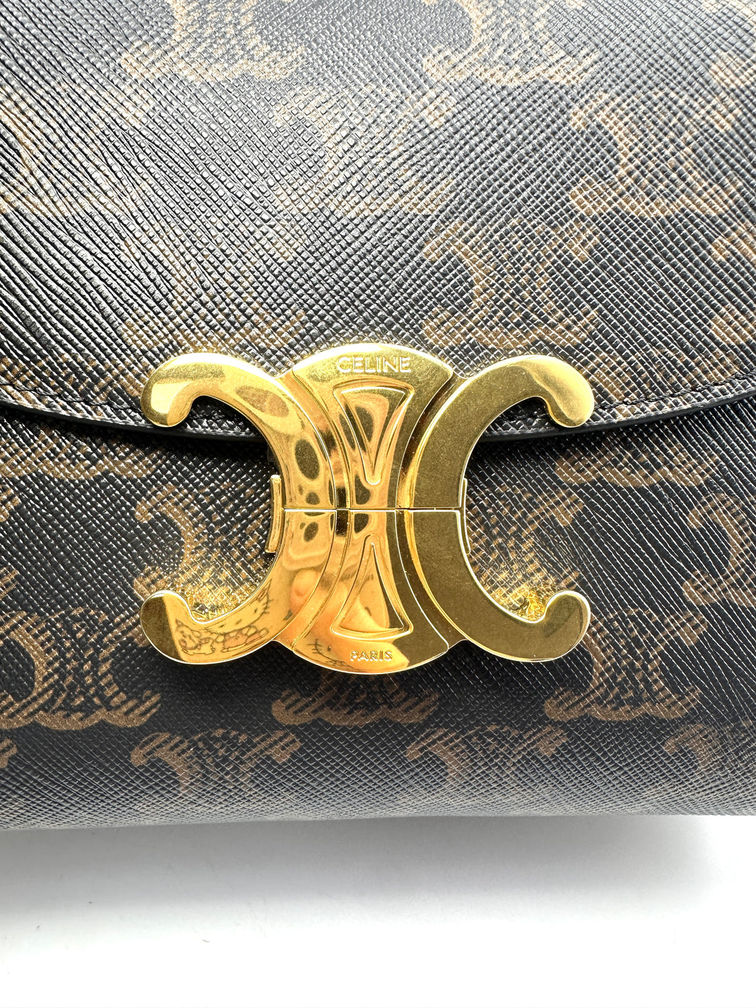Celine Nino Brown Triomphe Canvas Handle Bag With Gold Triomphe Hardware CE134