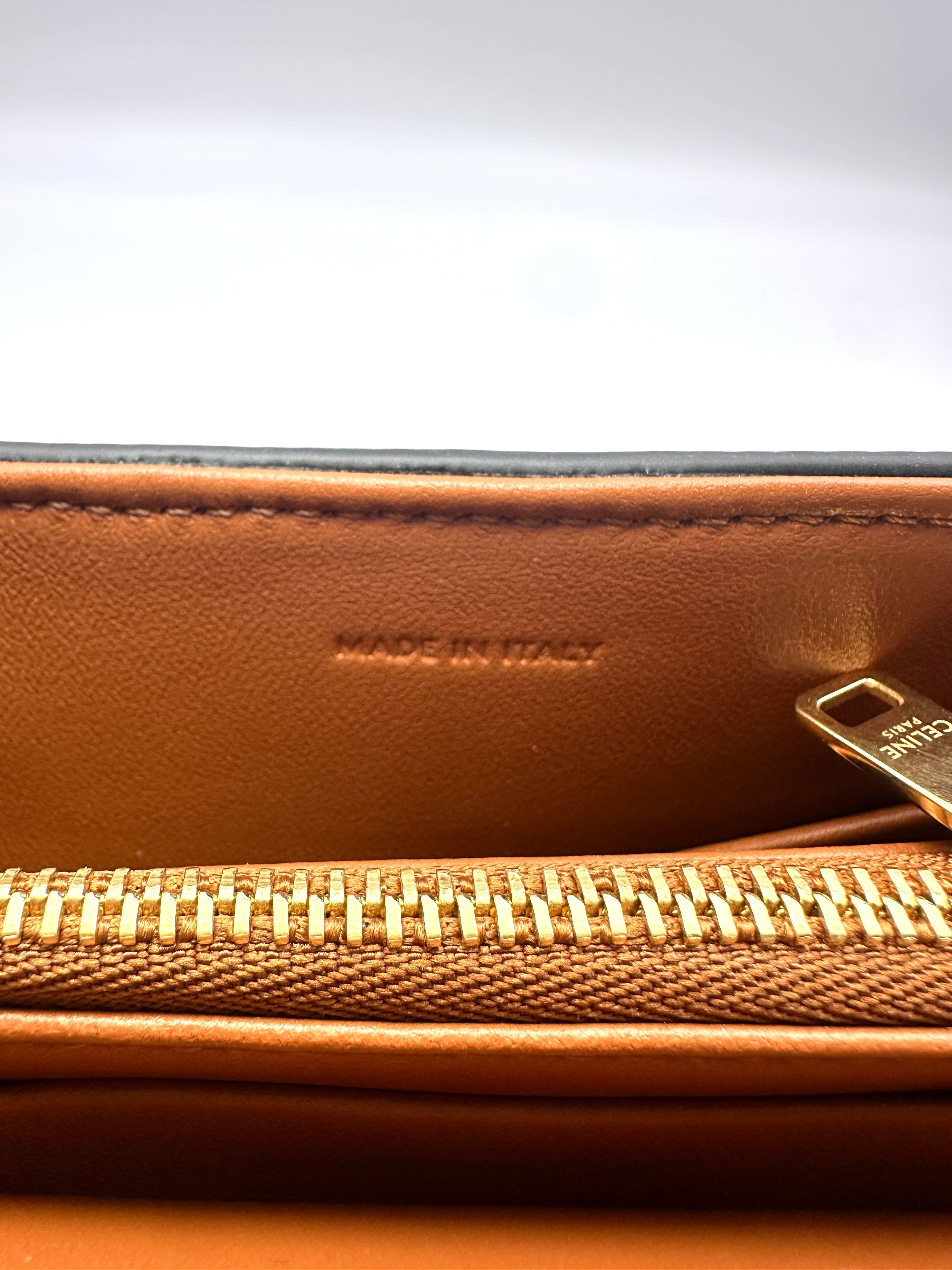 Celine Nino Brown Triomphe Canvas Handle Bag With Gold Triomphe Hardware CE134